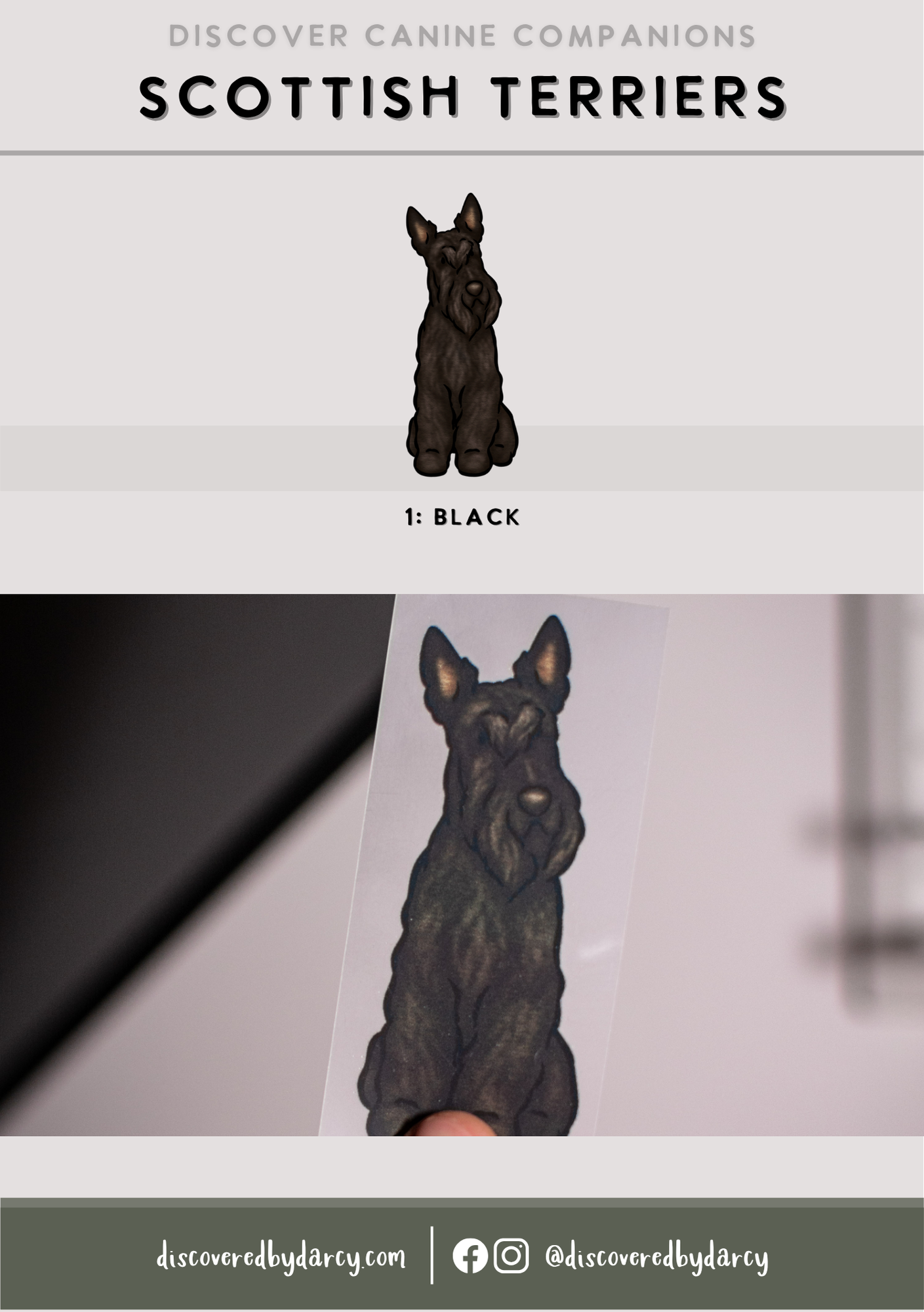 Scottish Terrier - Build-Your-Own