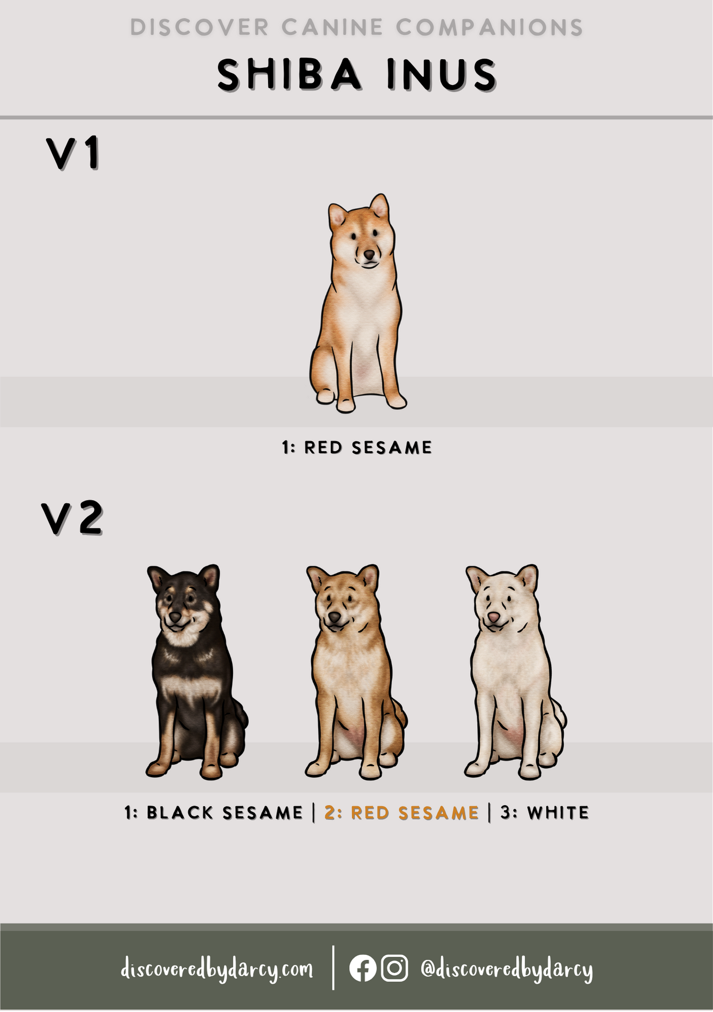 Shiba Inus - Build-Your-Own