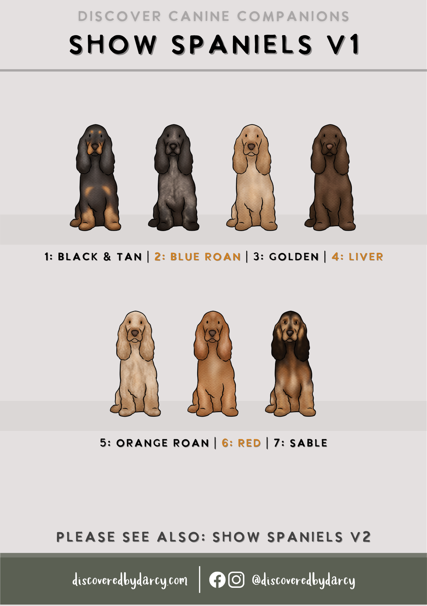 Spaniels - Build-Your-Own