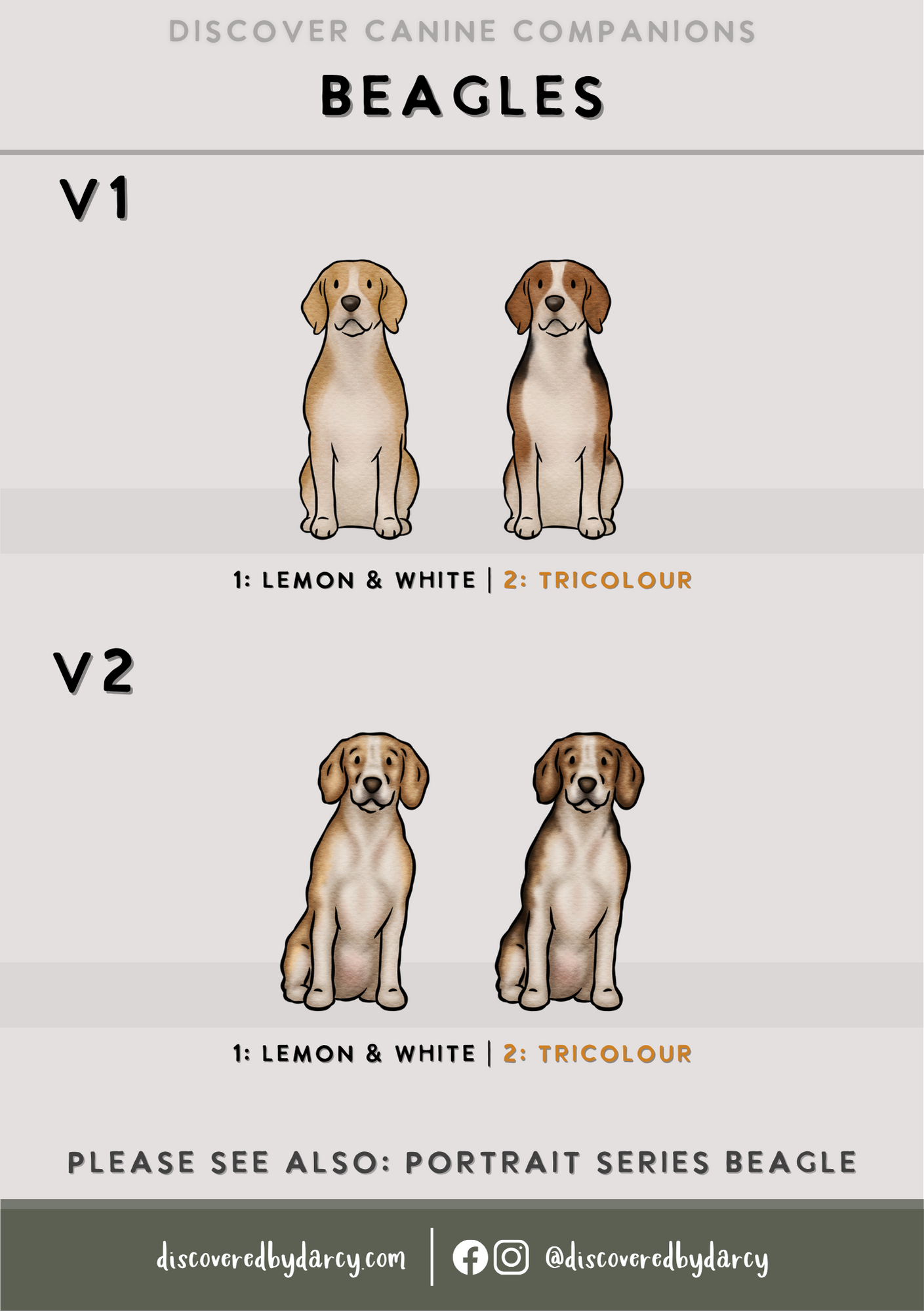 Beagles - Build-Your-Own