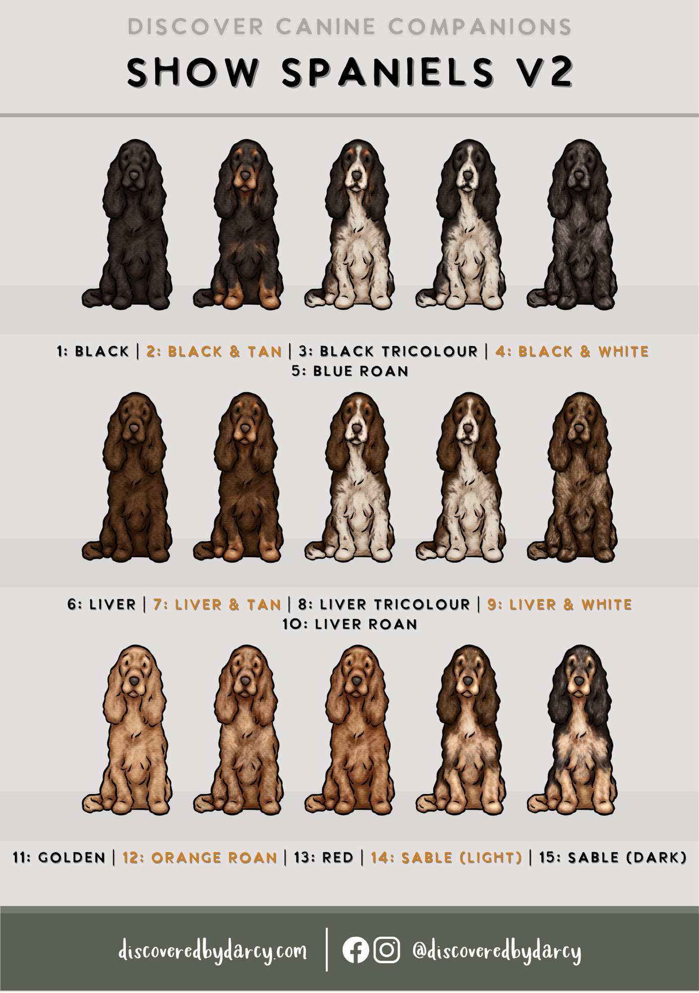 Spaniels - Build-Your-Own