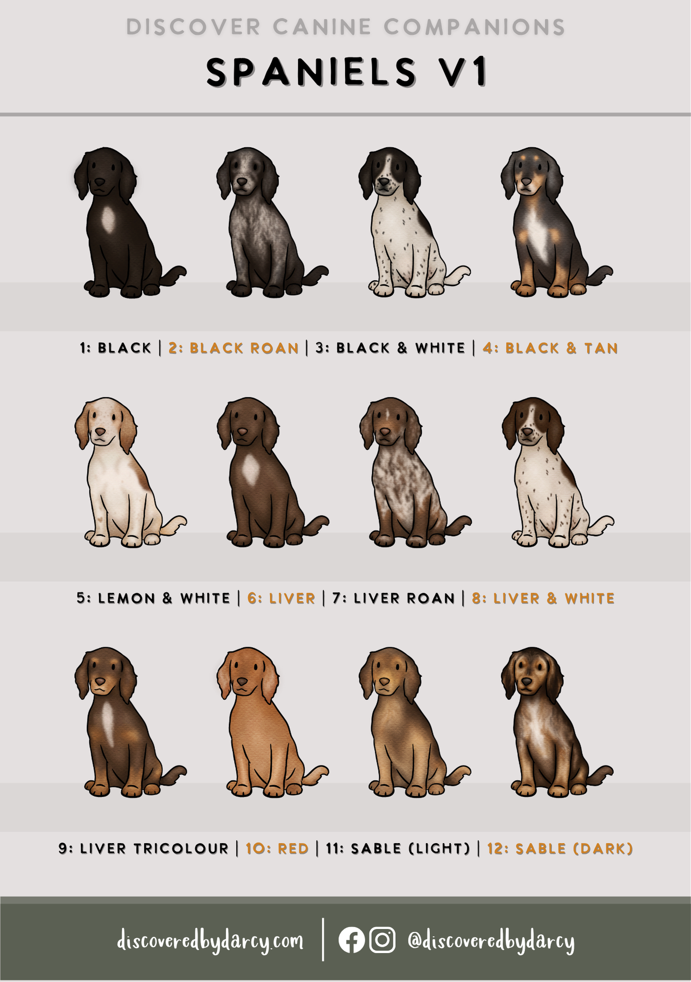 Spaniels - Build-Your-Own