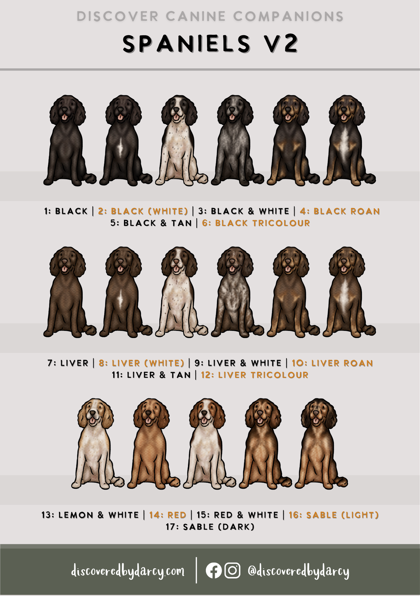 Spaniels - Build-Your-Own