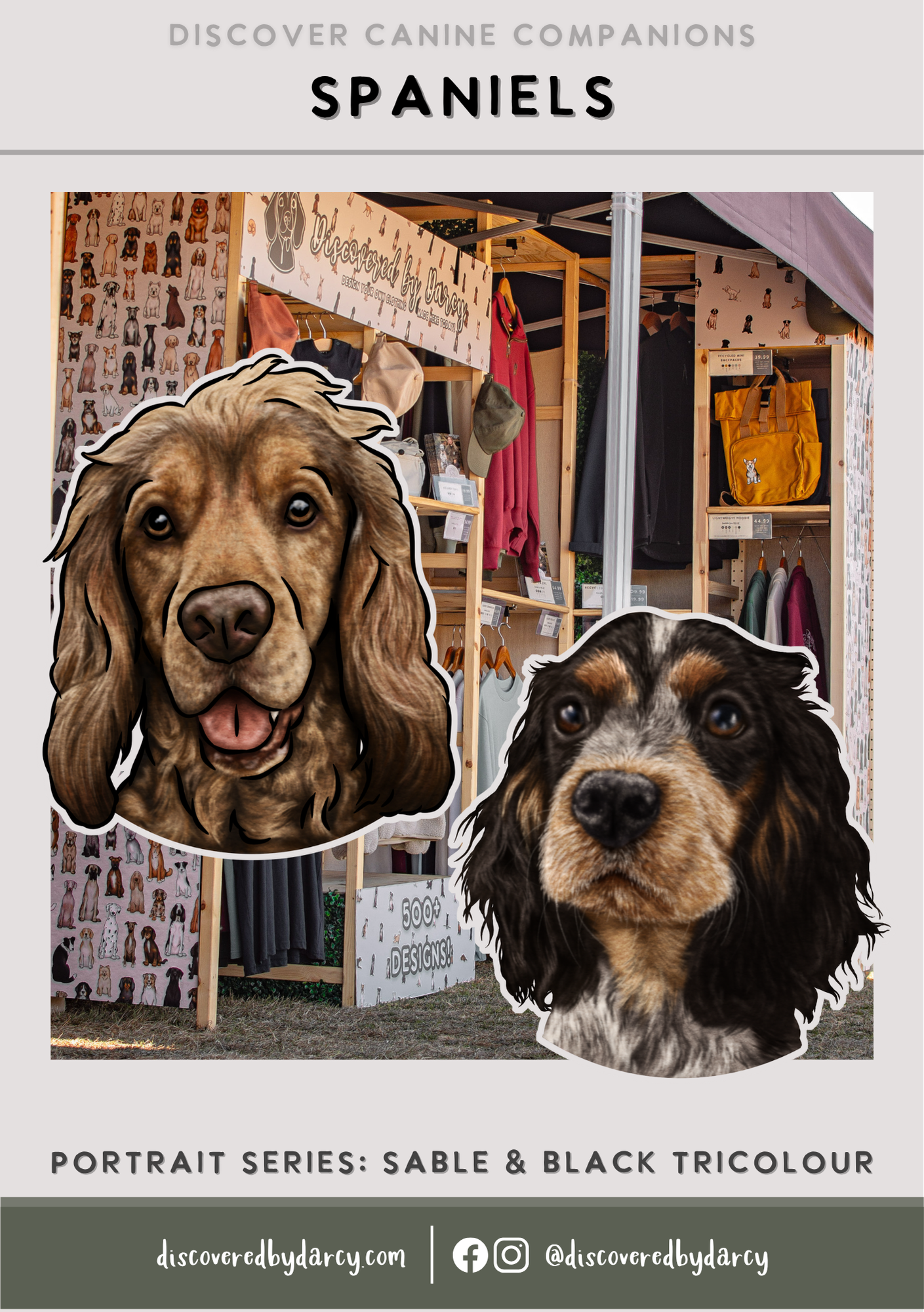 Spaniels - Build-Your-Own