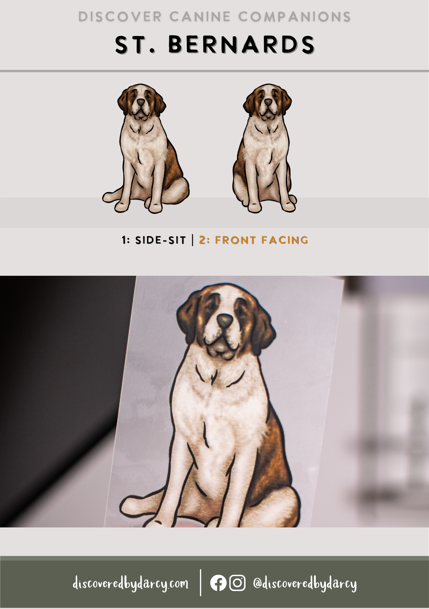 St. Bernards - Build-Your-Own