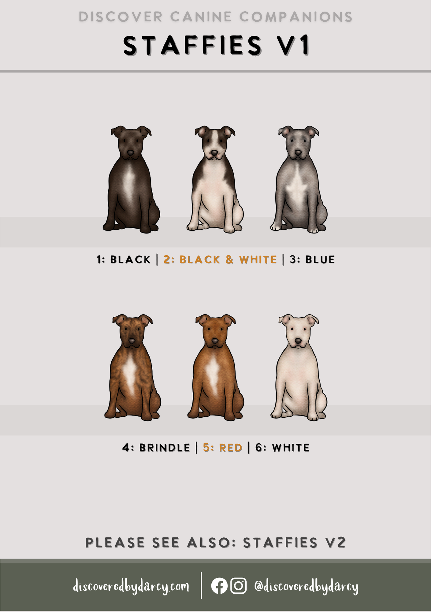 Staffordshire Bull Terriers - Build-Your-Own