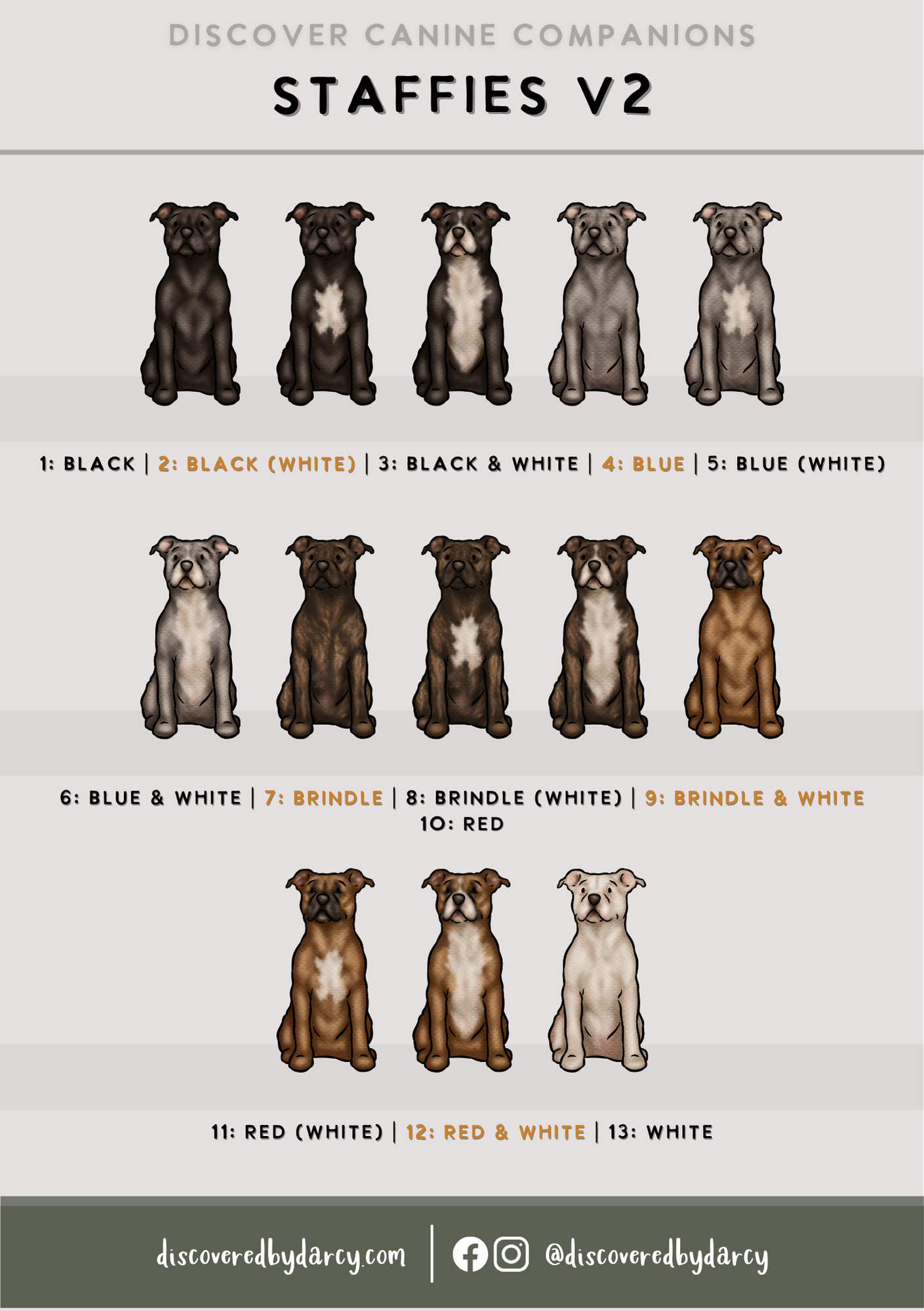 Staffordshire Bull Terriers - Build-Your-Own