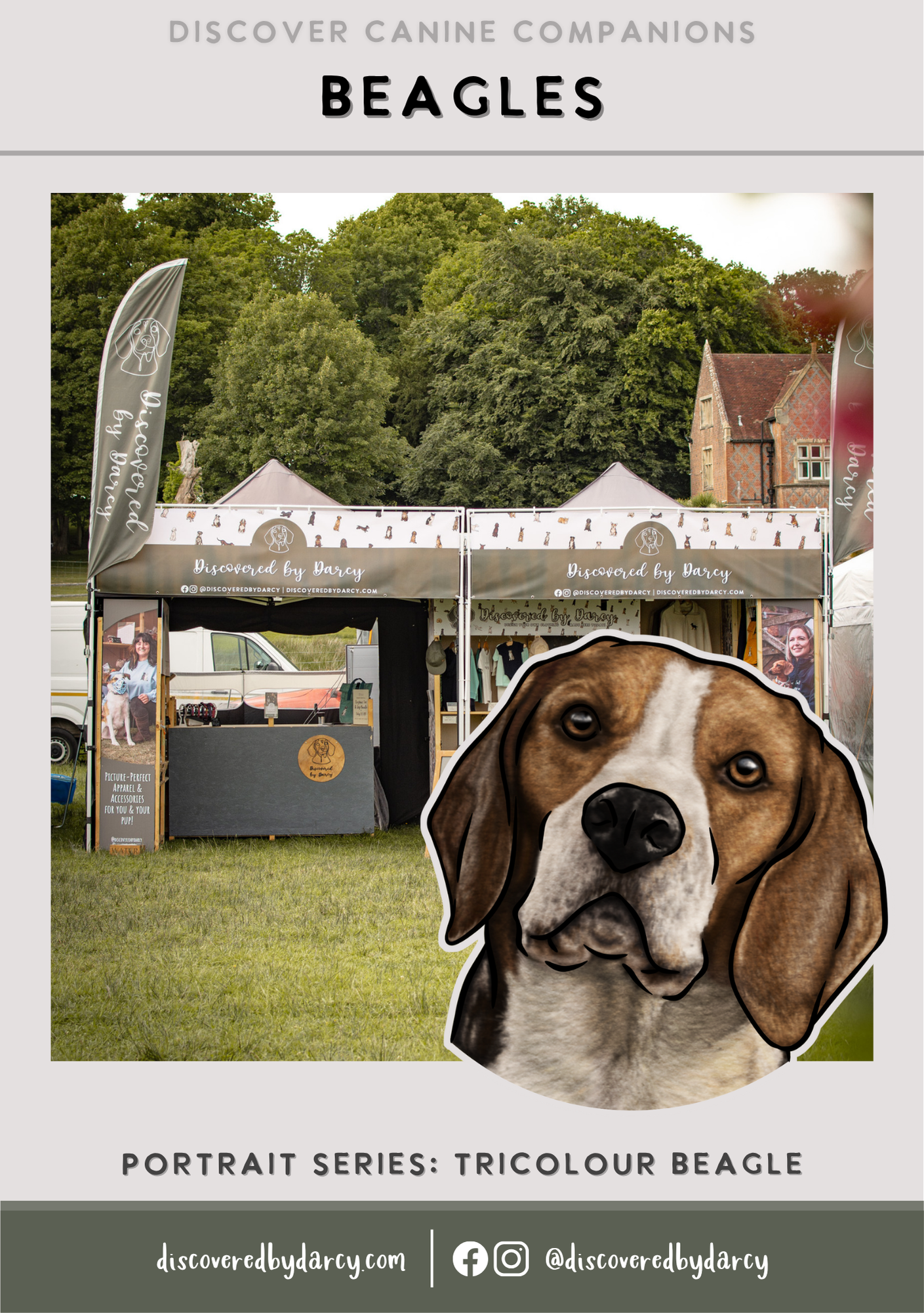 Beagles - Build-Your-Own