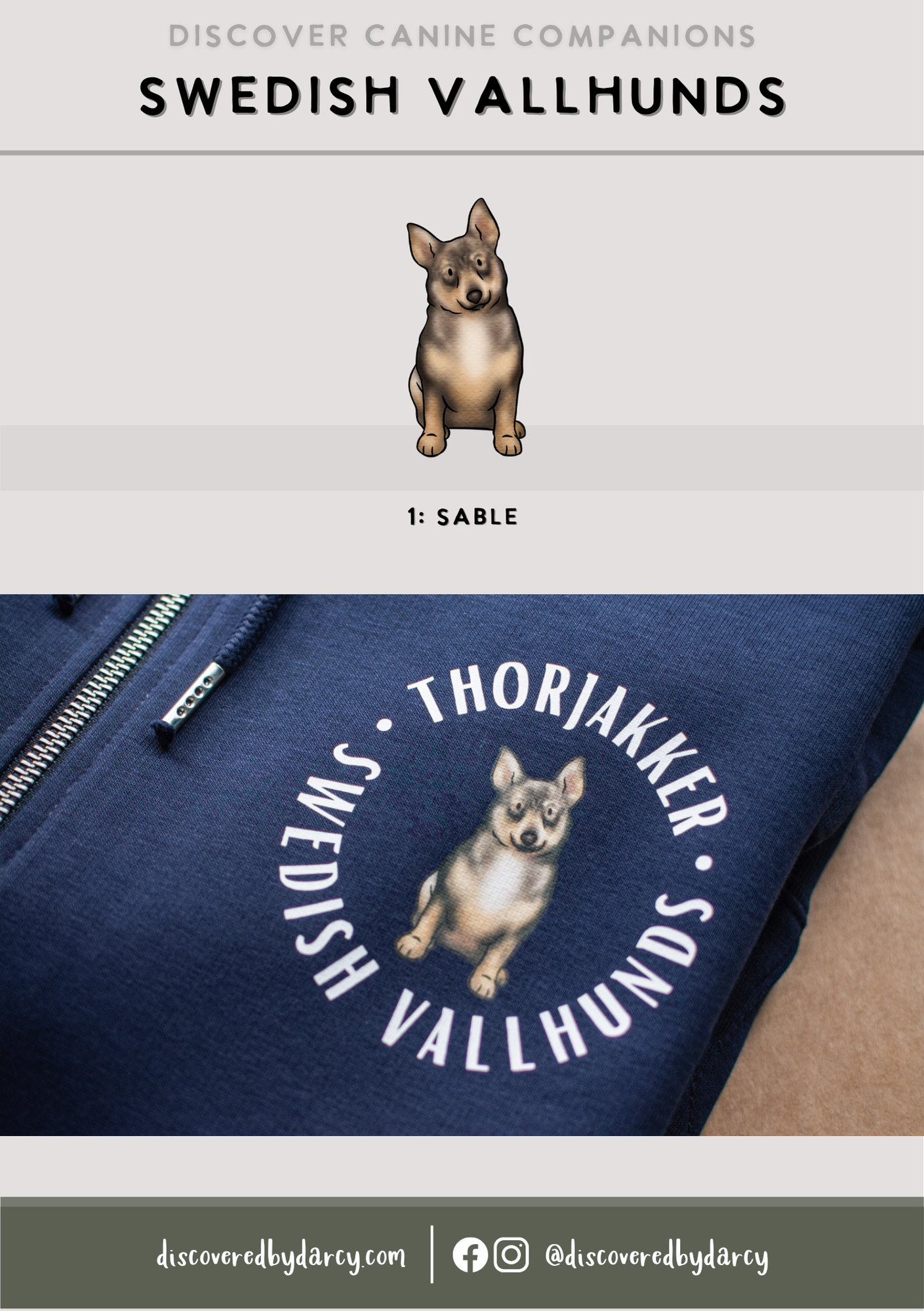 Swedish Vallhunds - Build-Your-Own