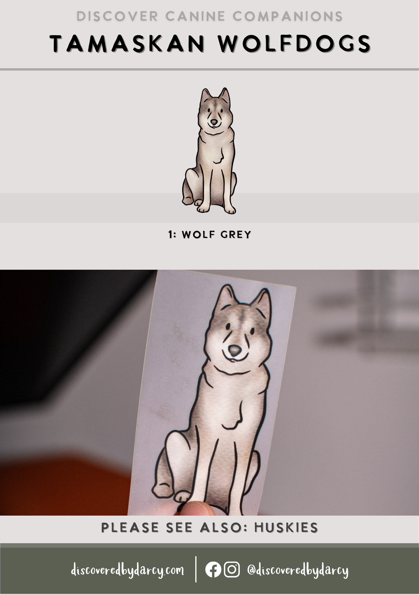 Tamaskan Wolfdogs - Build-Your-Own