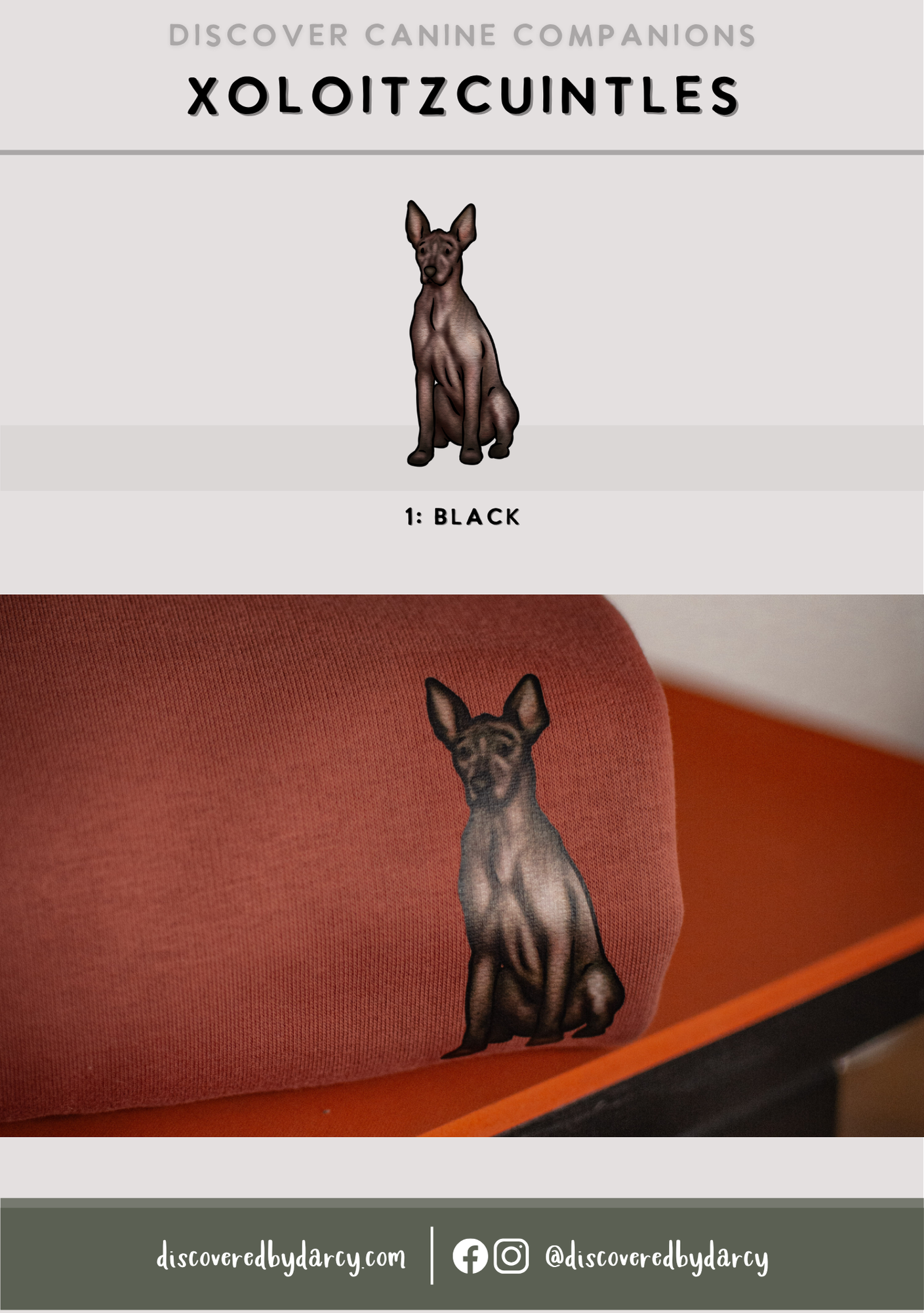 Xoloitzcuintles - Build-Your-Own