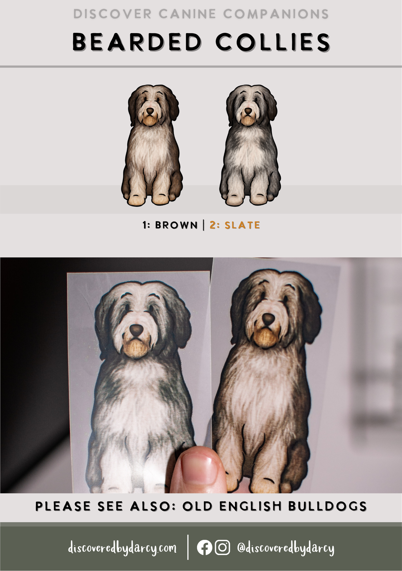 Bearded Collies - Build-Your-Own