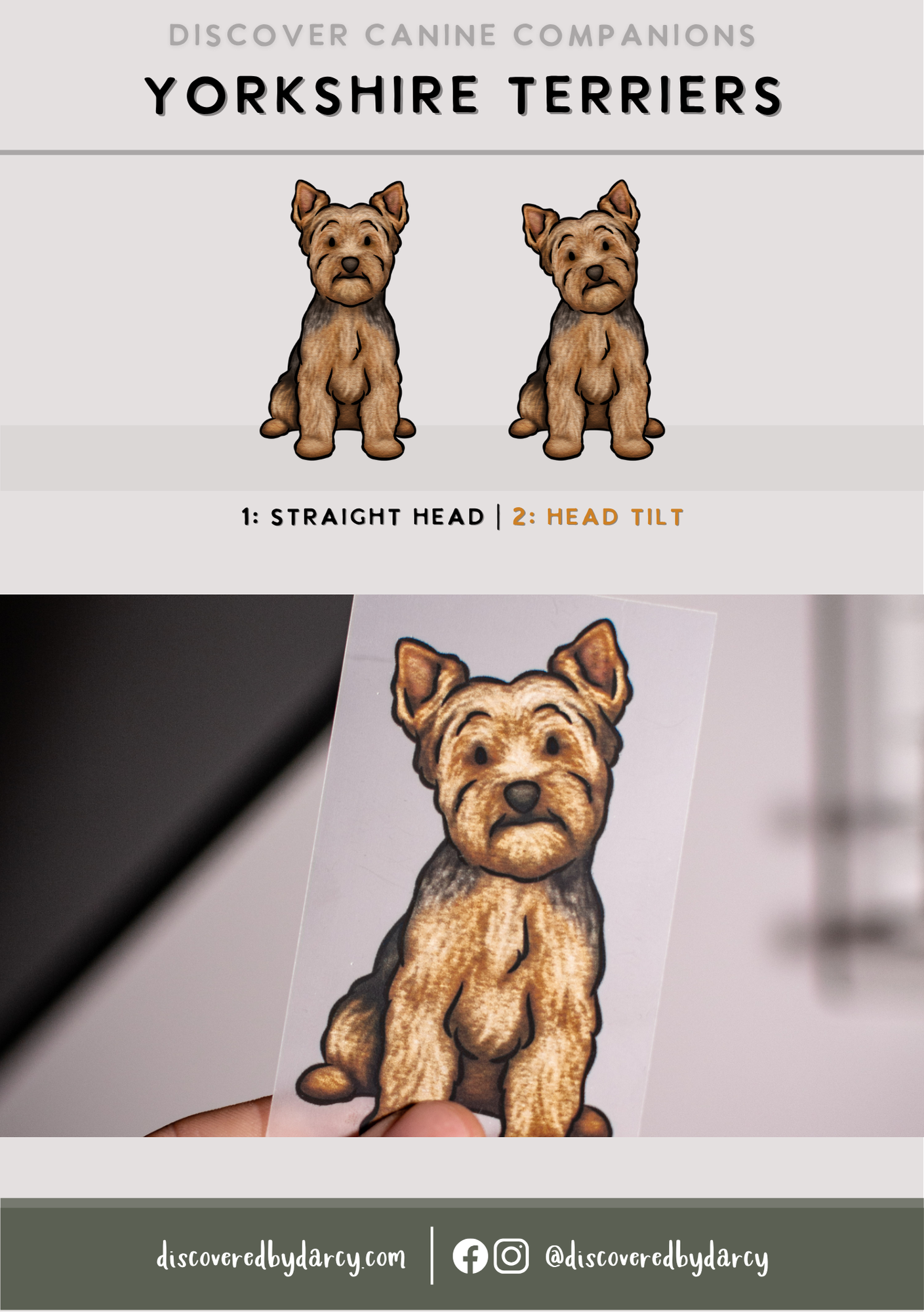 Yorkshire Terriers - Build-Your-Own