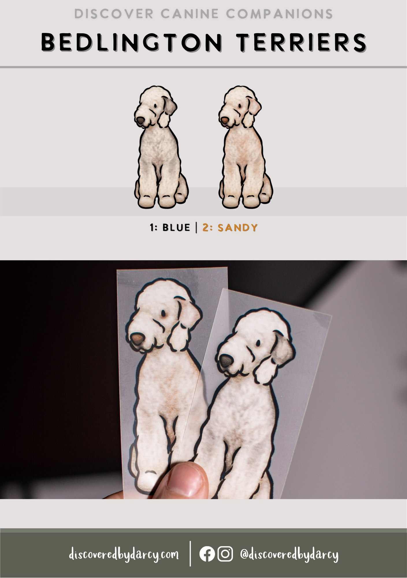 Bedlington Terriers - Build-Your-Own