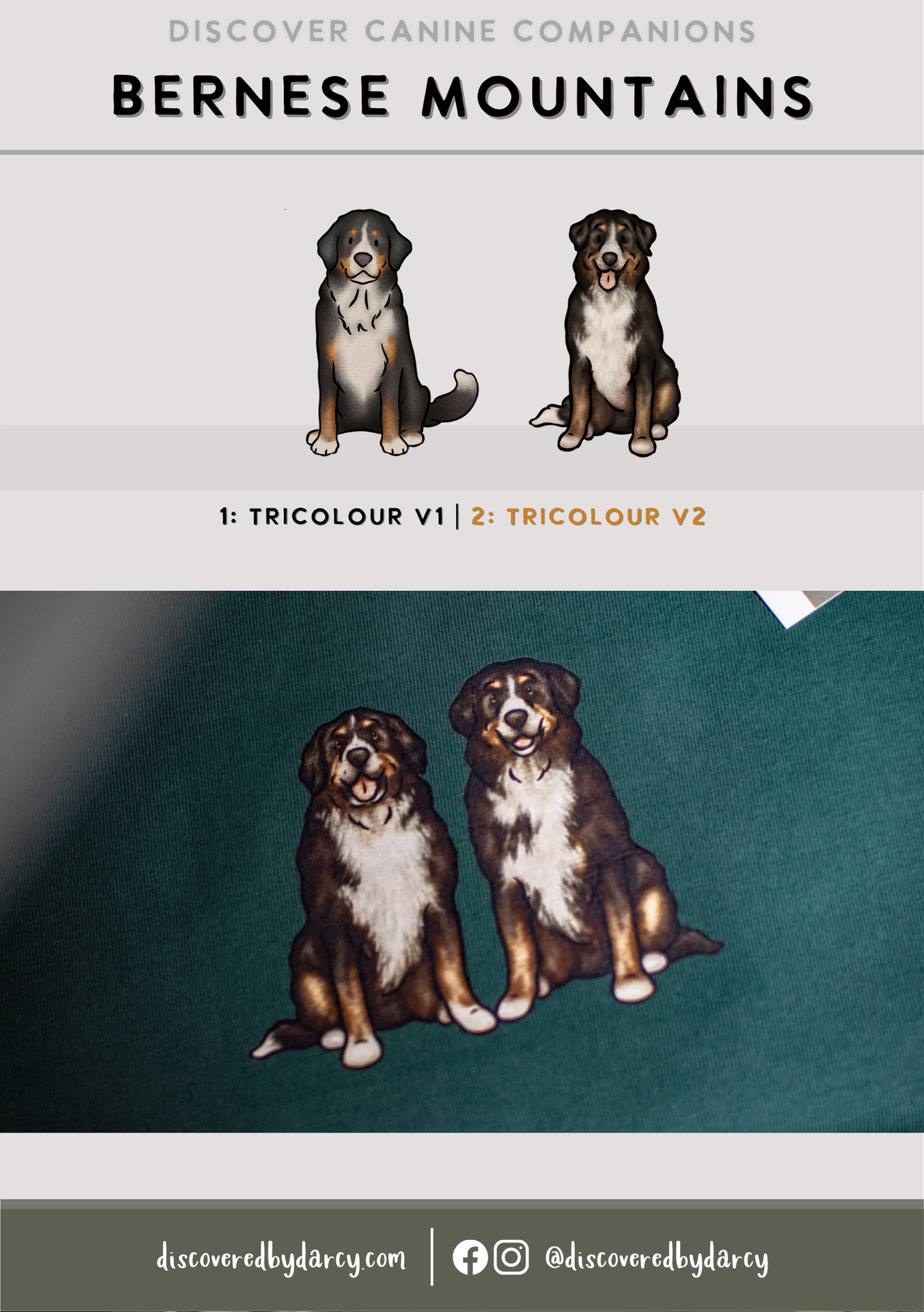 Bernese Mountain Dogs - Build-Your-Own