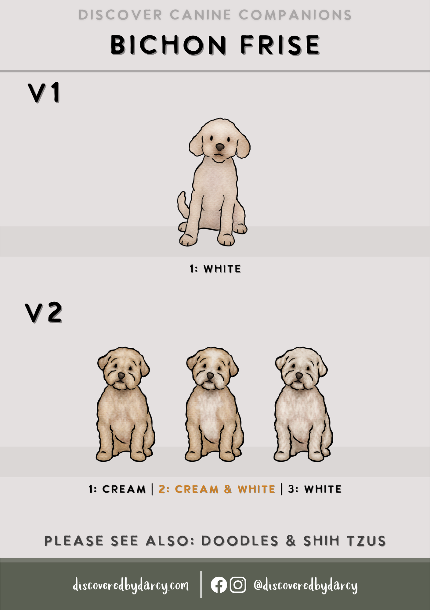 Bichon Frise - Build-Your-Own