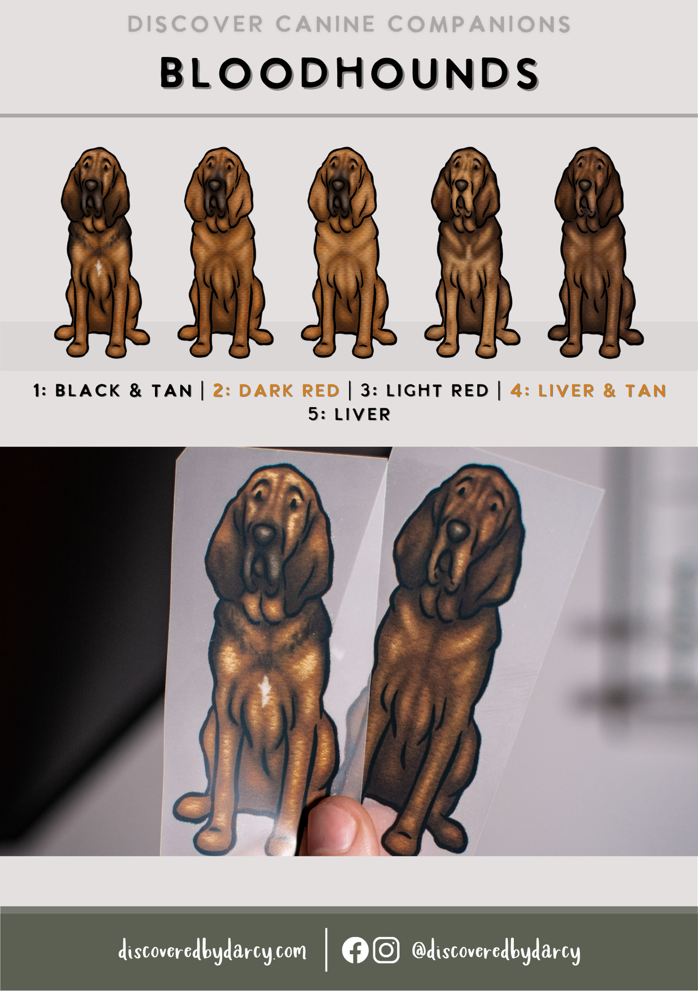 Blood Hounds - Build-Your-Own