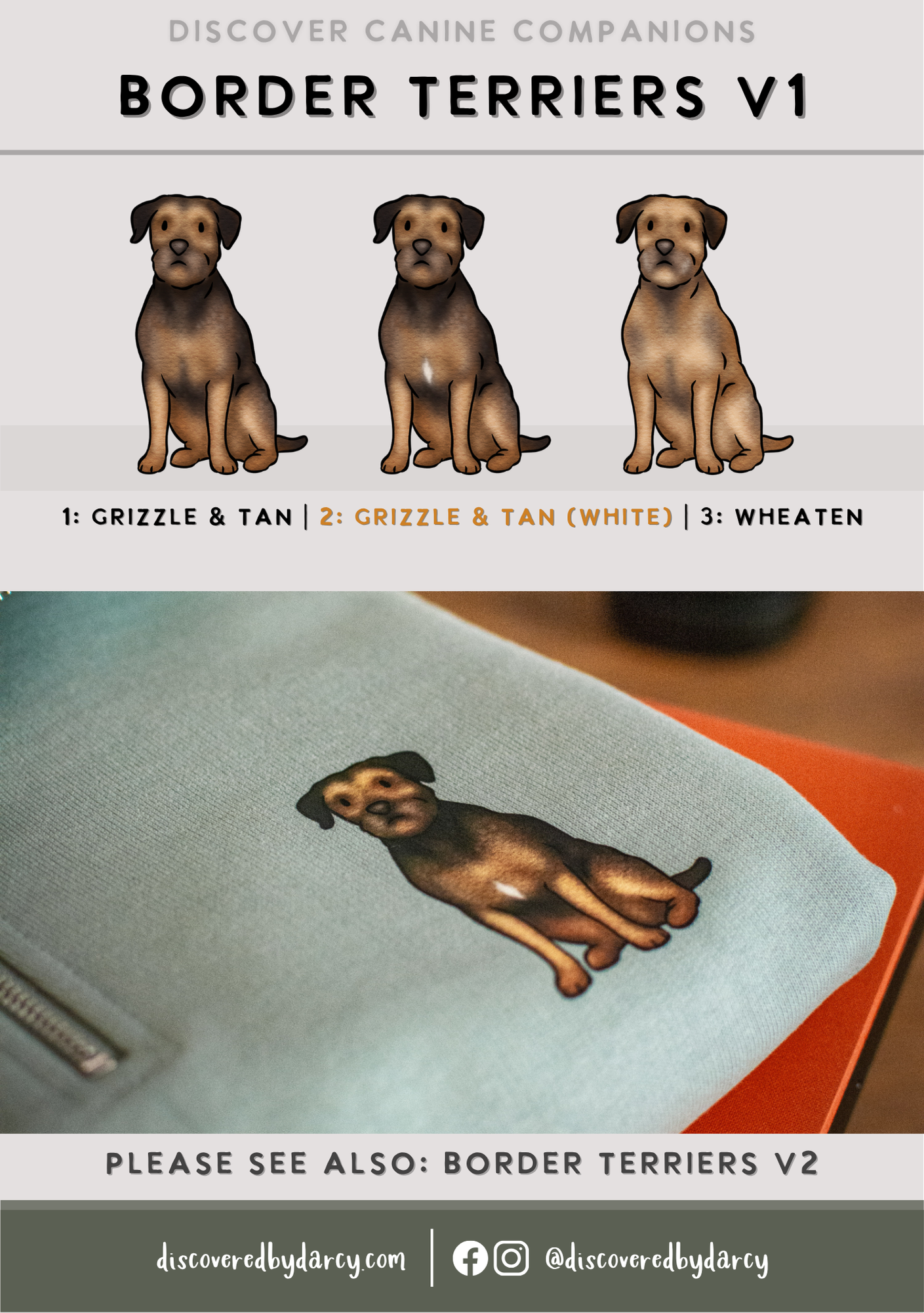 Border Terriers - Build-Your-Own