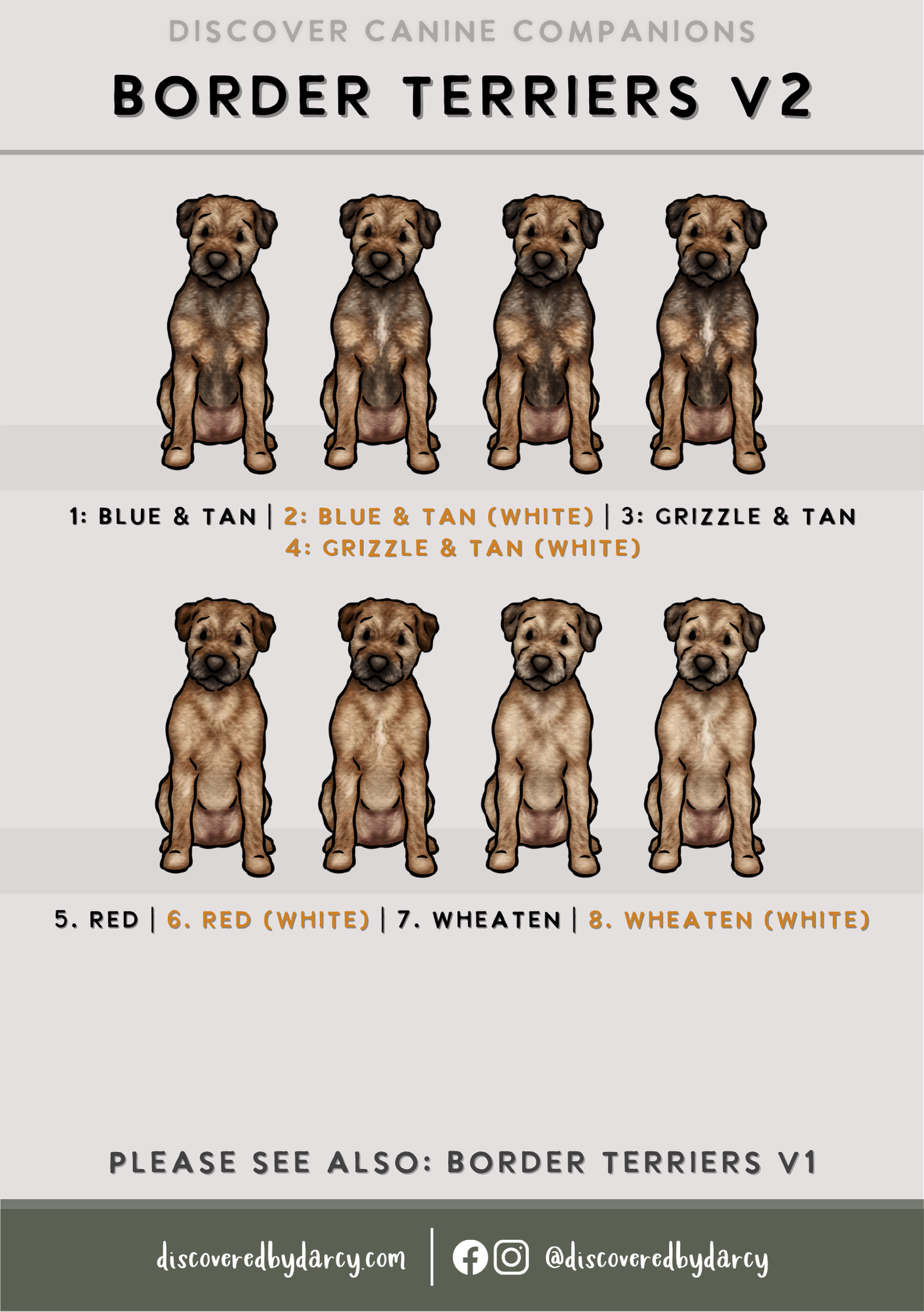 Border Terriers - Build-Your-Own