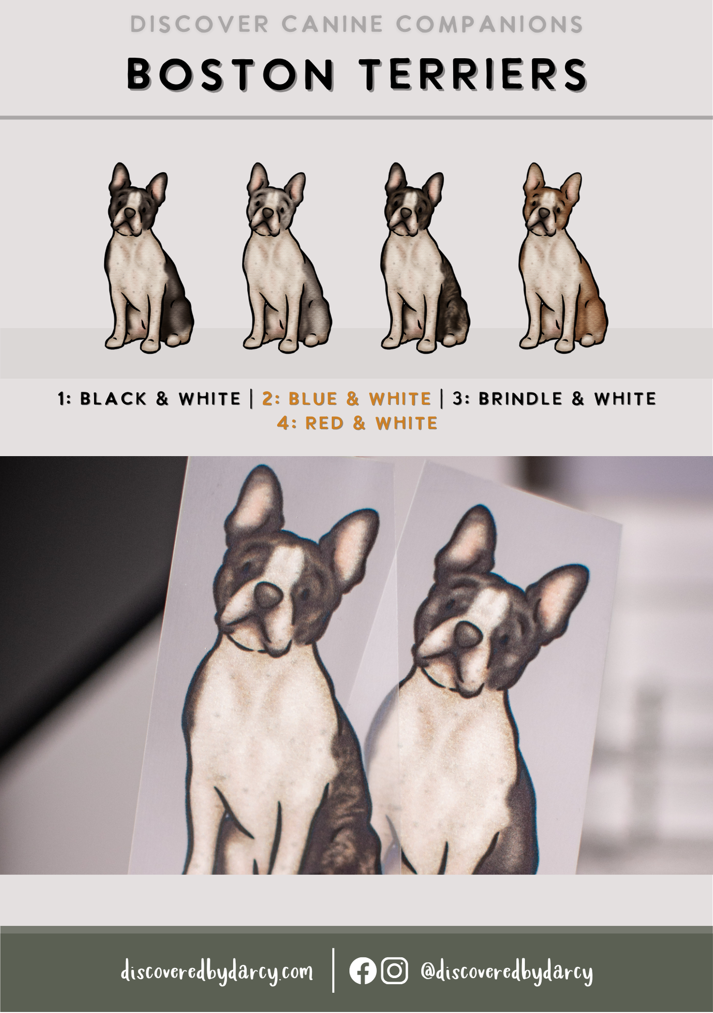 Boston Terriers - Build-Your-Own