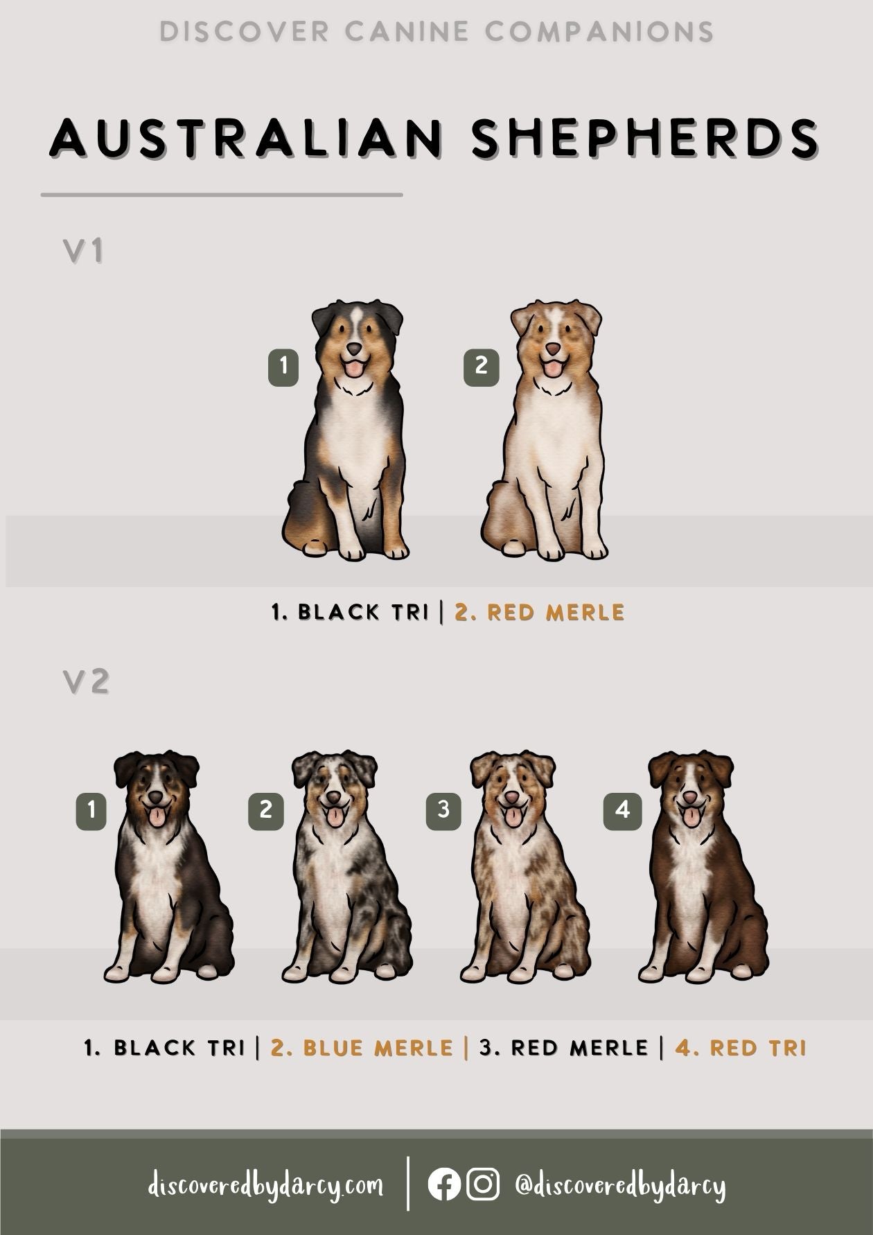Australian Shepherds - Build-Your-Own