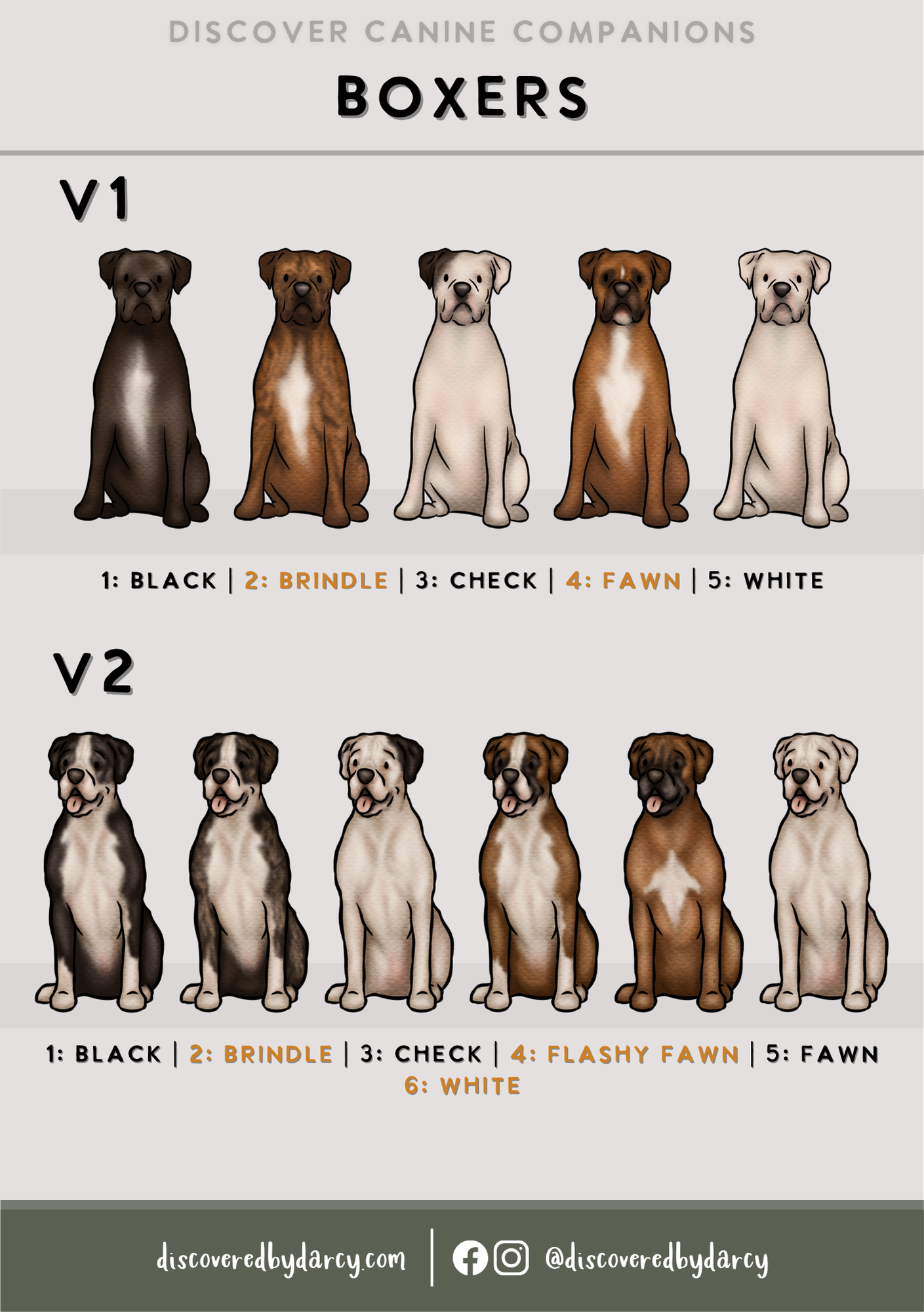 Boxer Dogs - Build-Your-Own