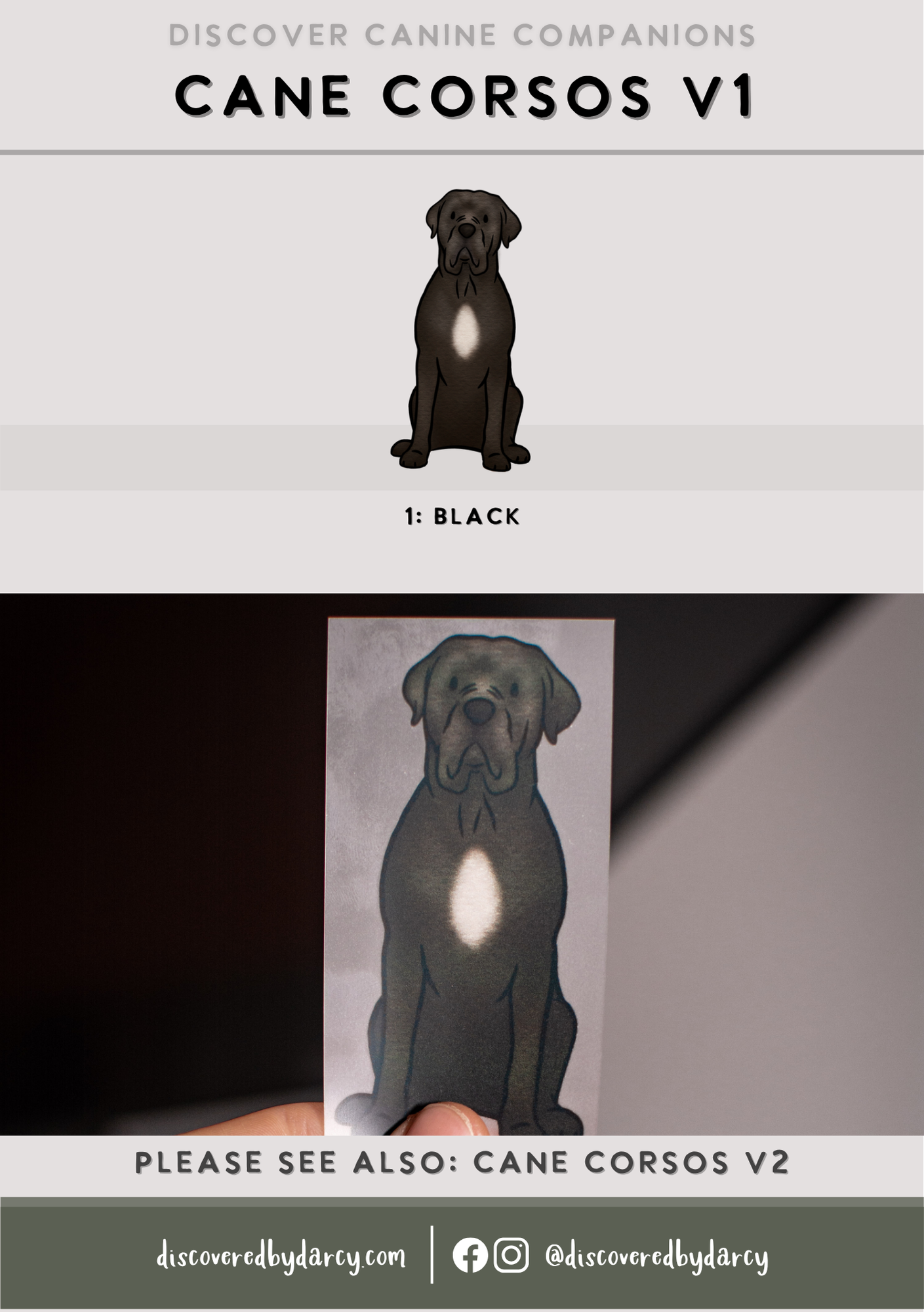 Cane Corsos - Build-Your-Own