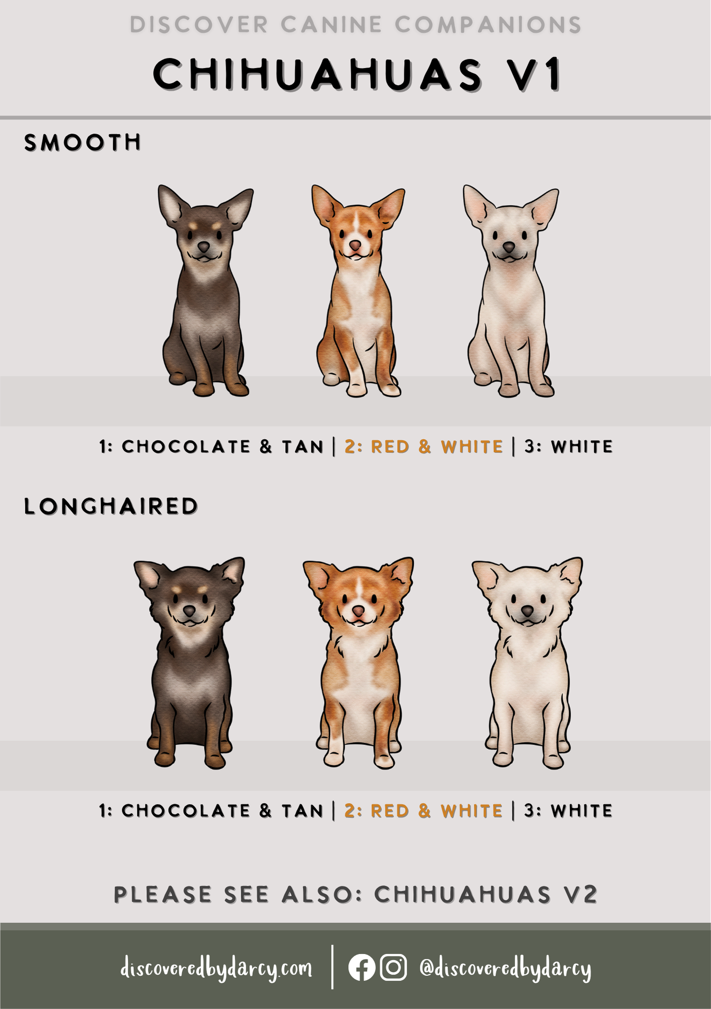 Chihuahuas - Build-Your-Own