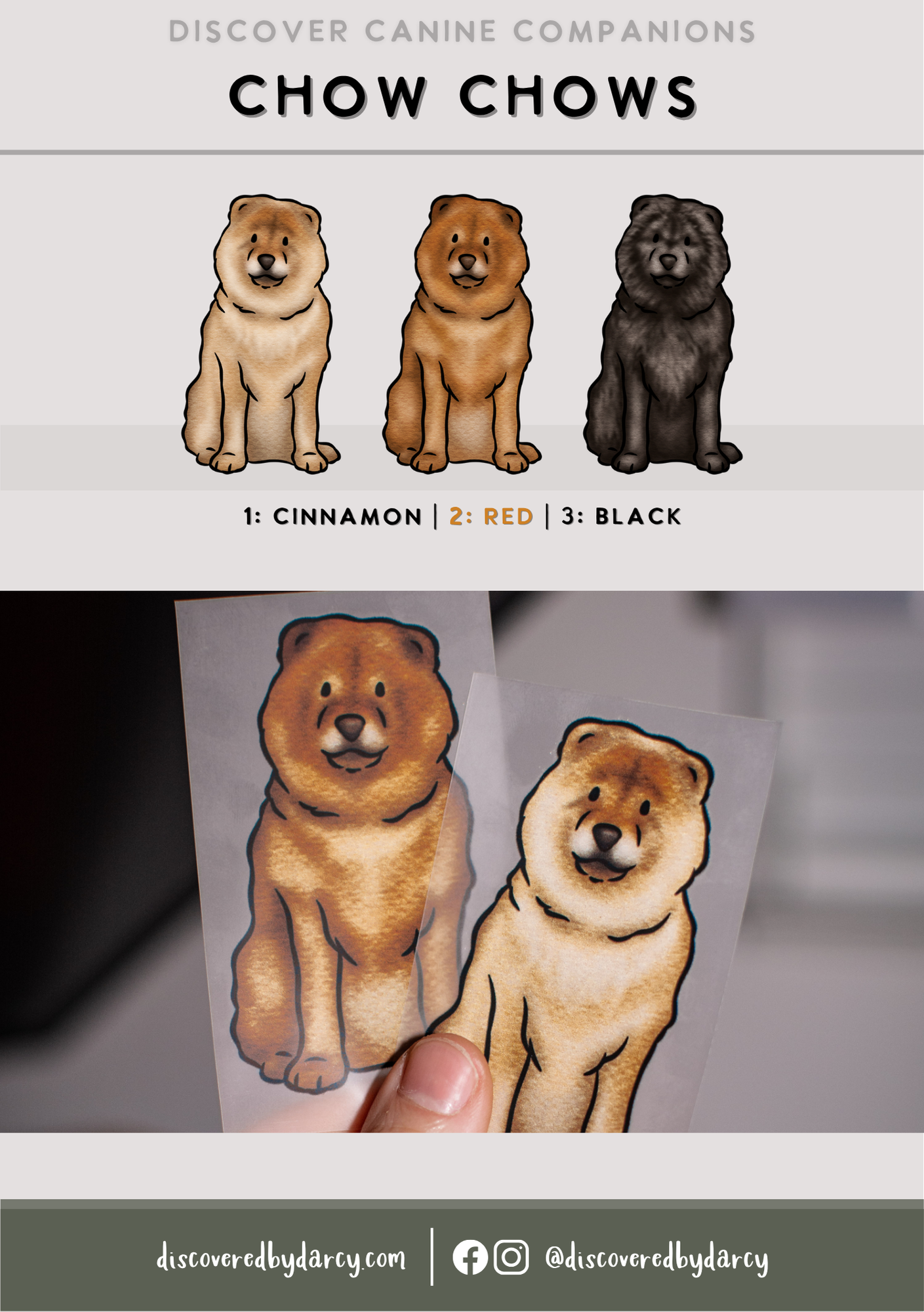 Chow Chows - Build-Your-Own