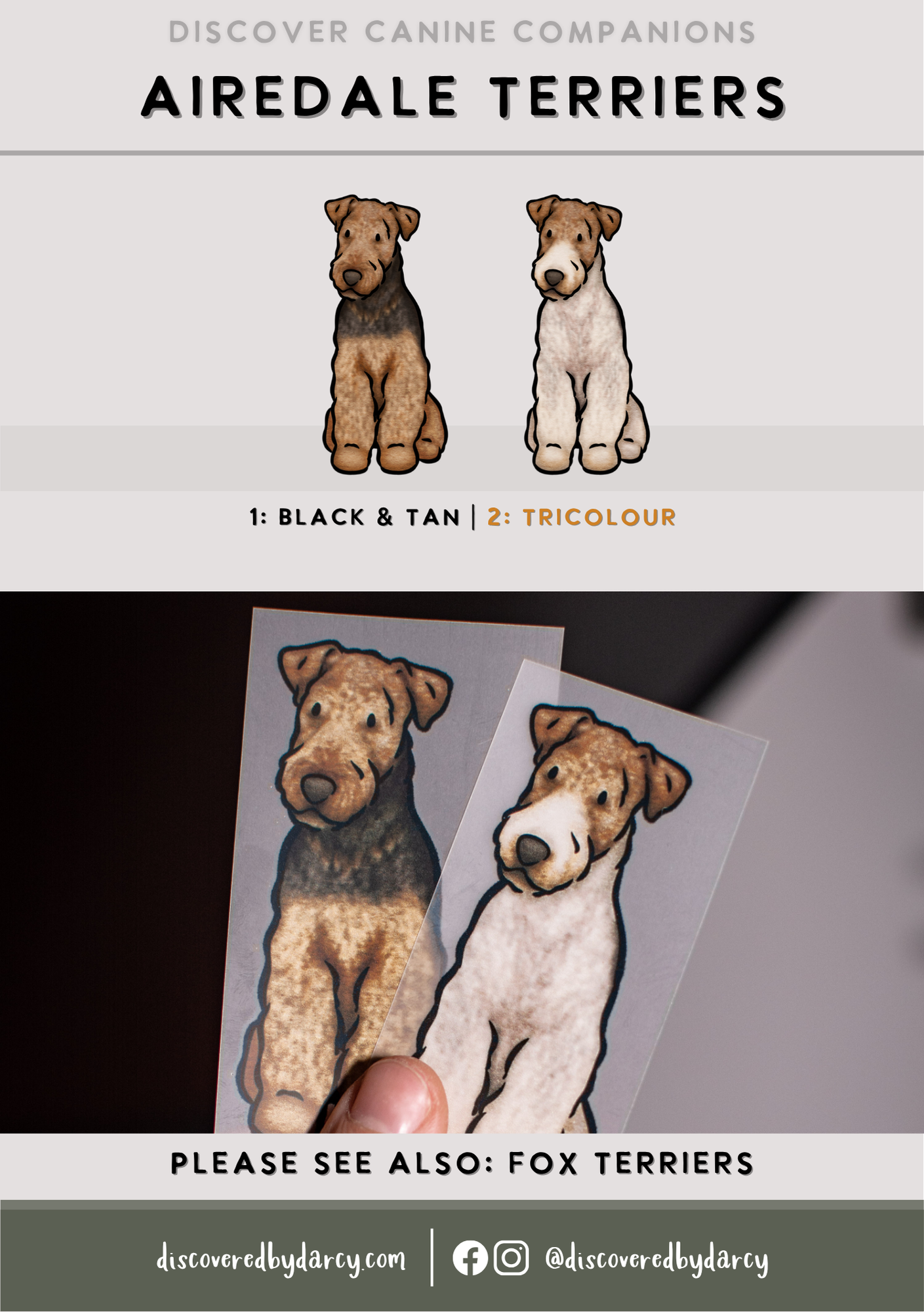 Airedale Terrier - Build-Your-Own