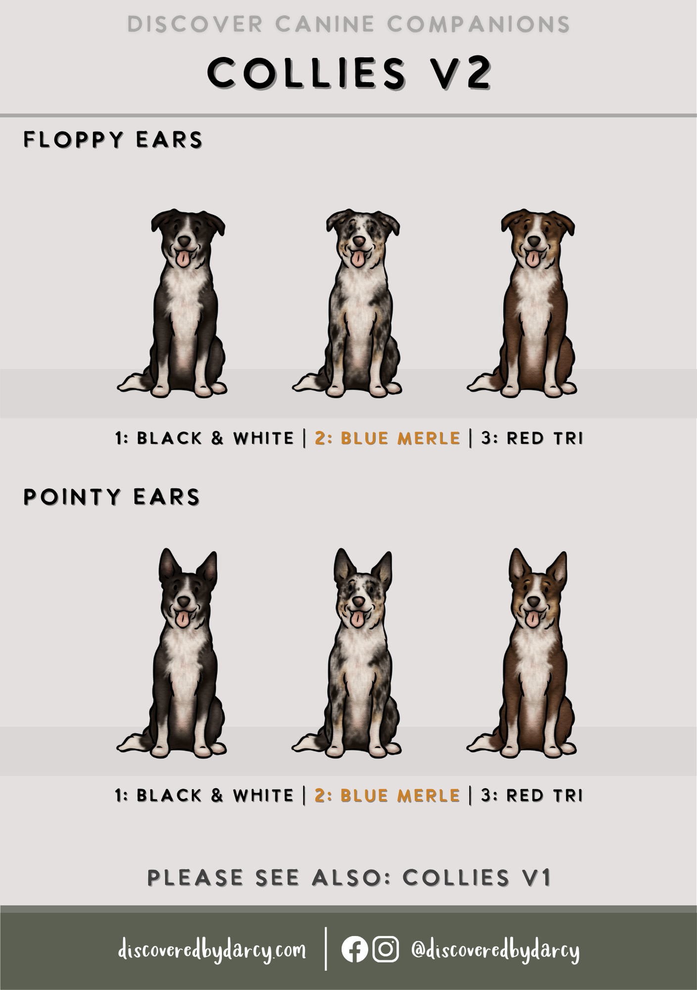 Collies - Build-Your-Own