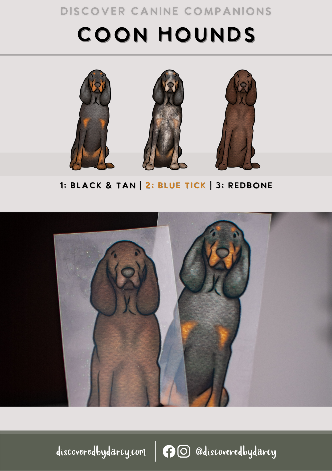 Coon Hounds - Build-Your-Own