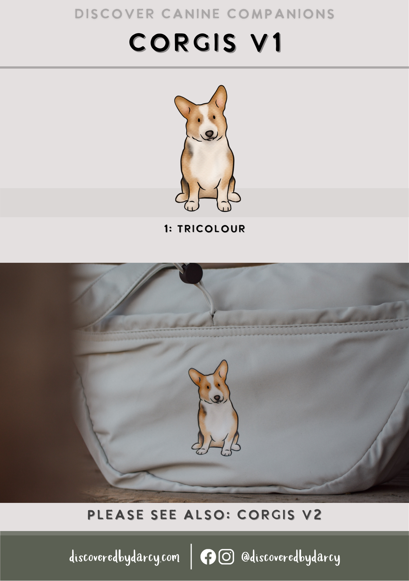 Corgis - Build-Your-Own