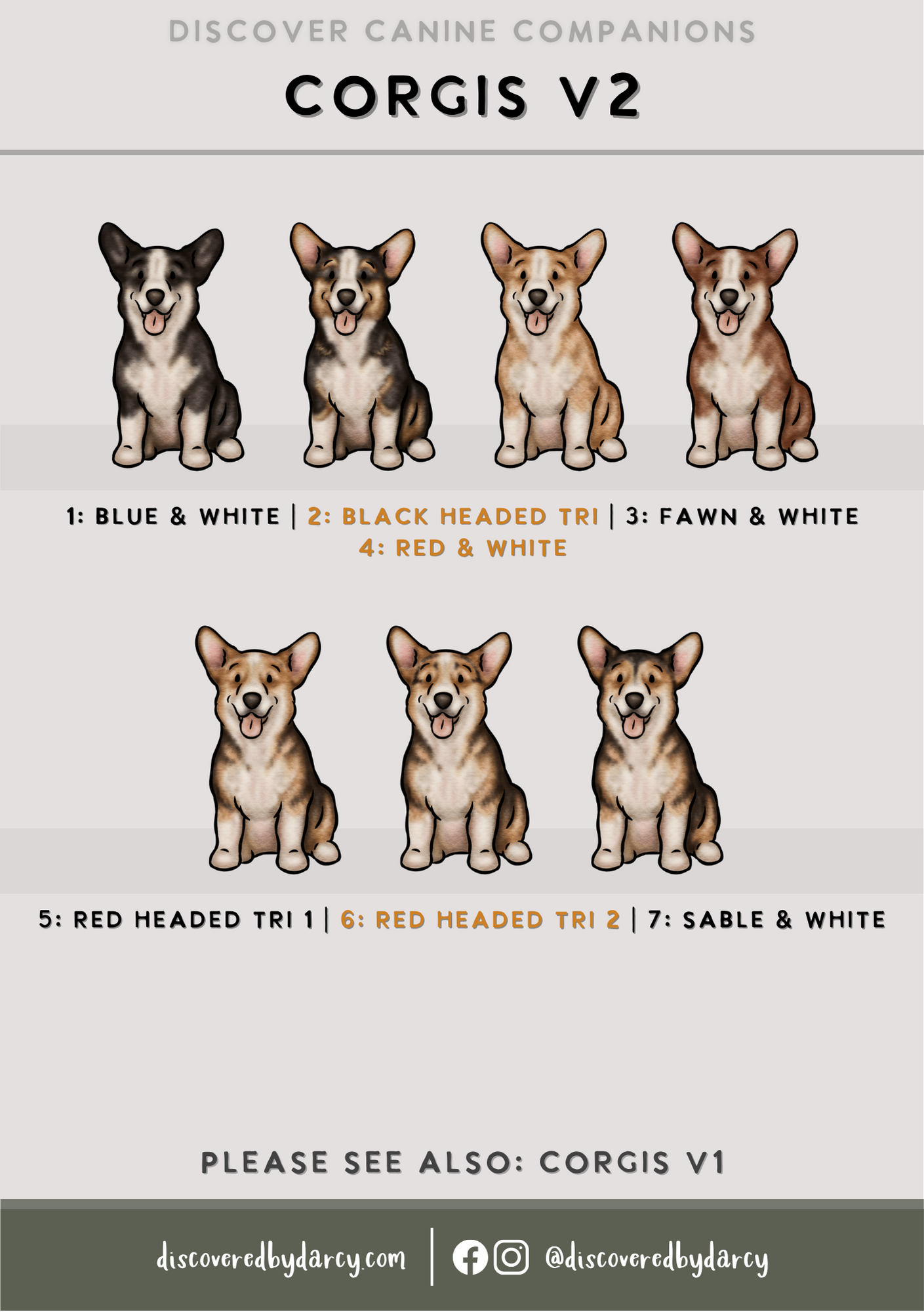Corgis - Build-Your-Own