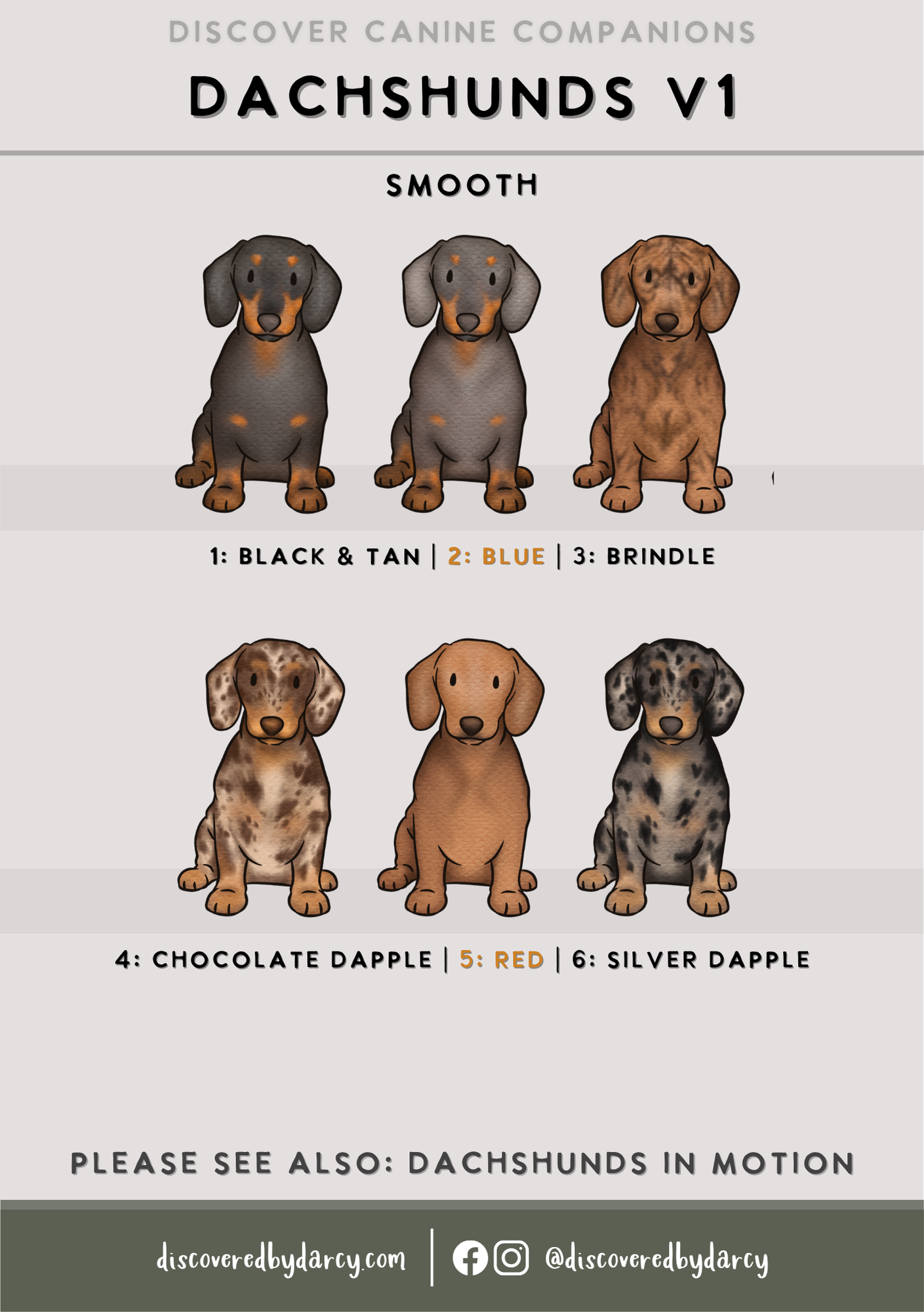 Dachshunds - Build-Your-Own