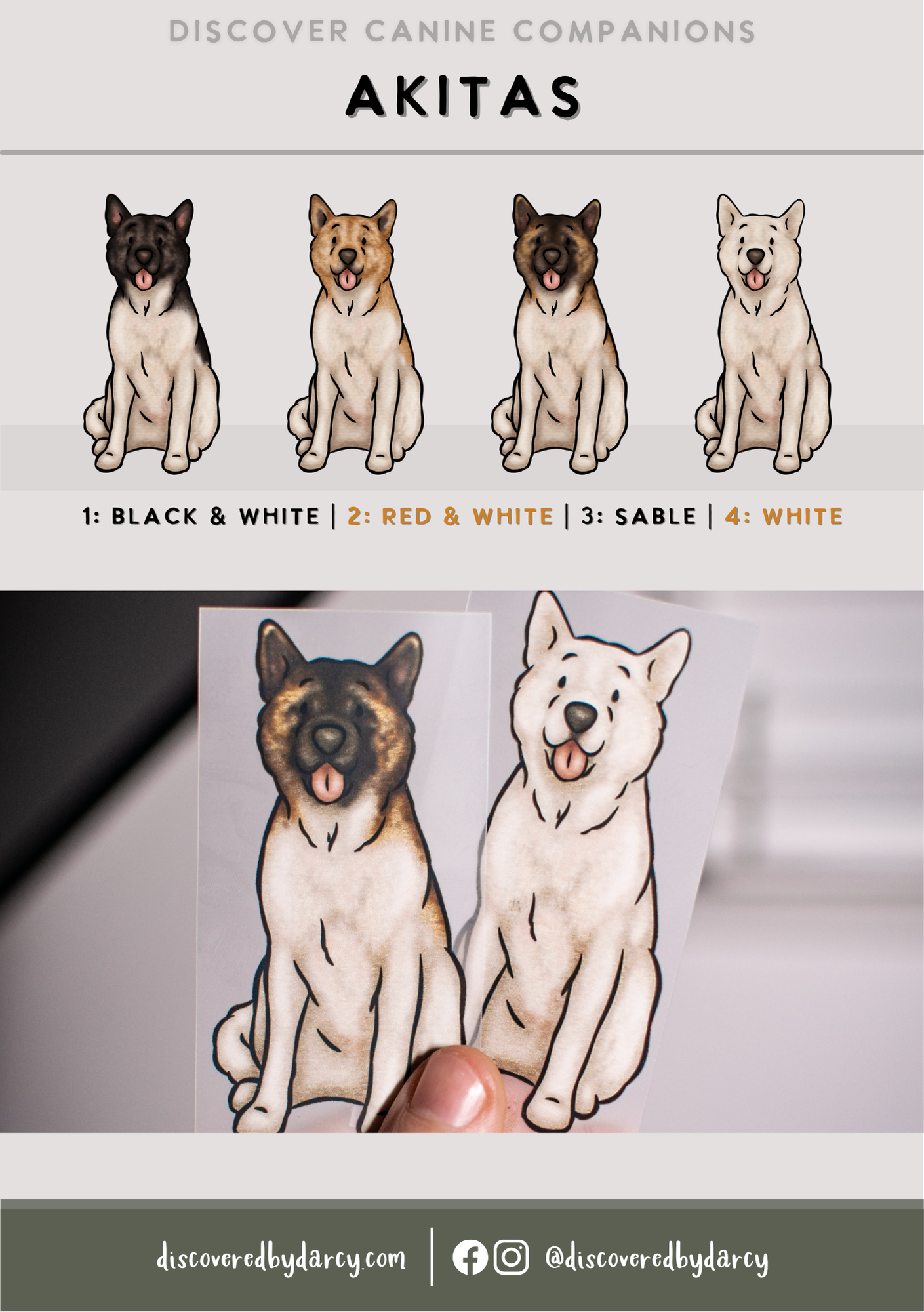 Akita - Build-Your-Own