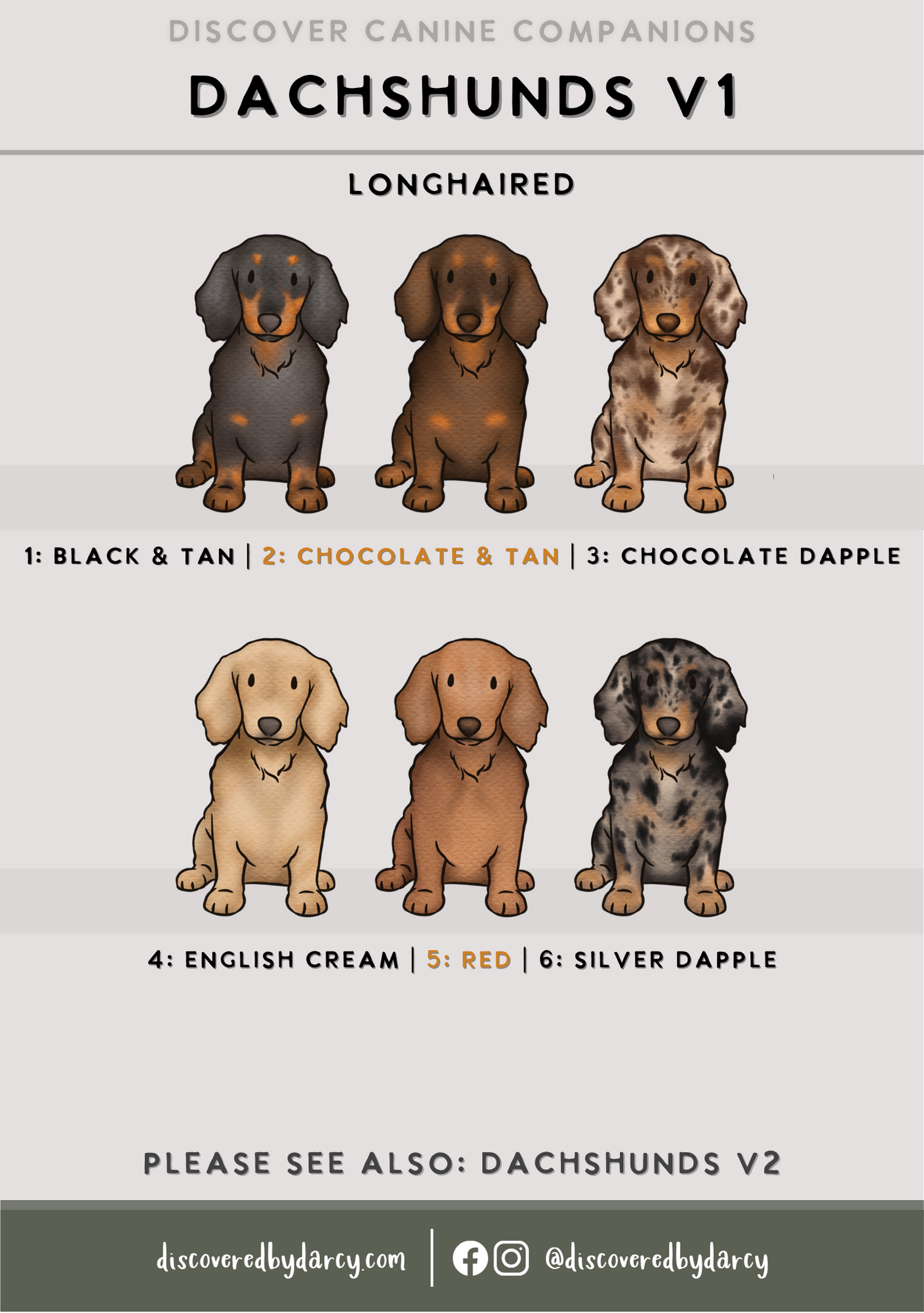 Dachshunds - Build-Your-Own