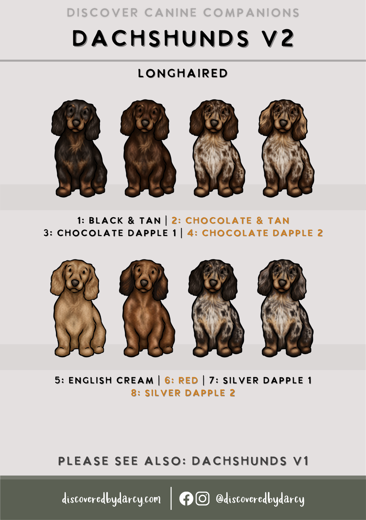 Dachshunds - Build-Your-Own
