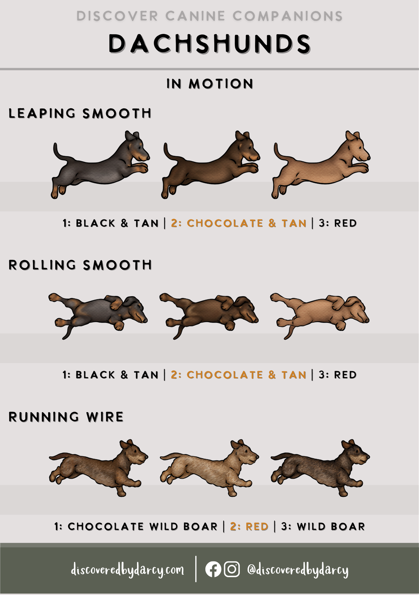 Dachshunds - Build-Your-Own