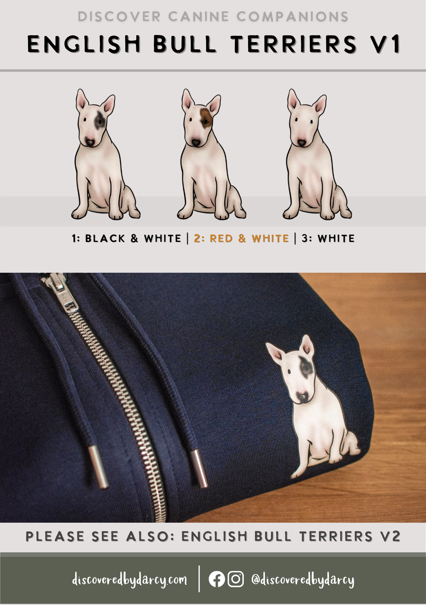 English Bull Terriers - Build-Your-Own