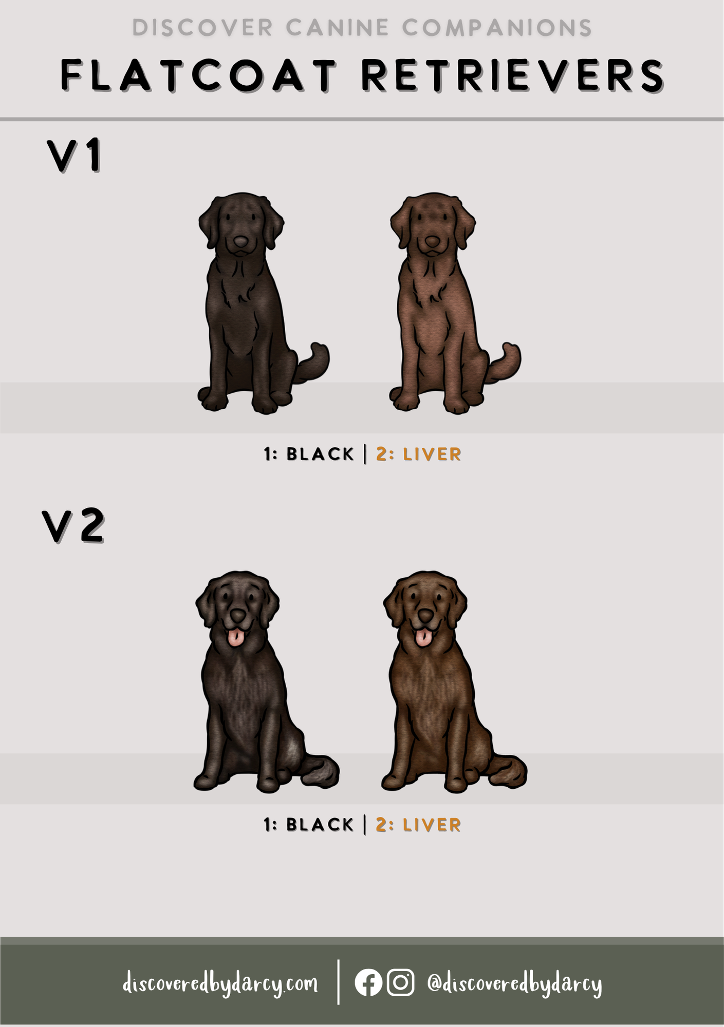 Flatcoat Retrievers - Build-Your-Own