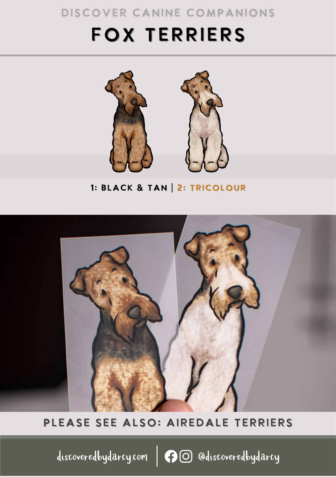 Fox Terriers - Build-Your-Own