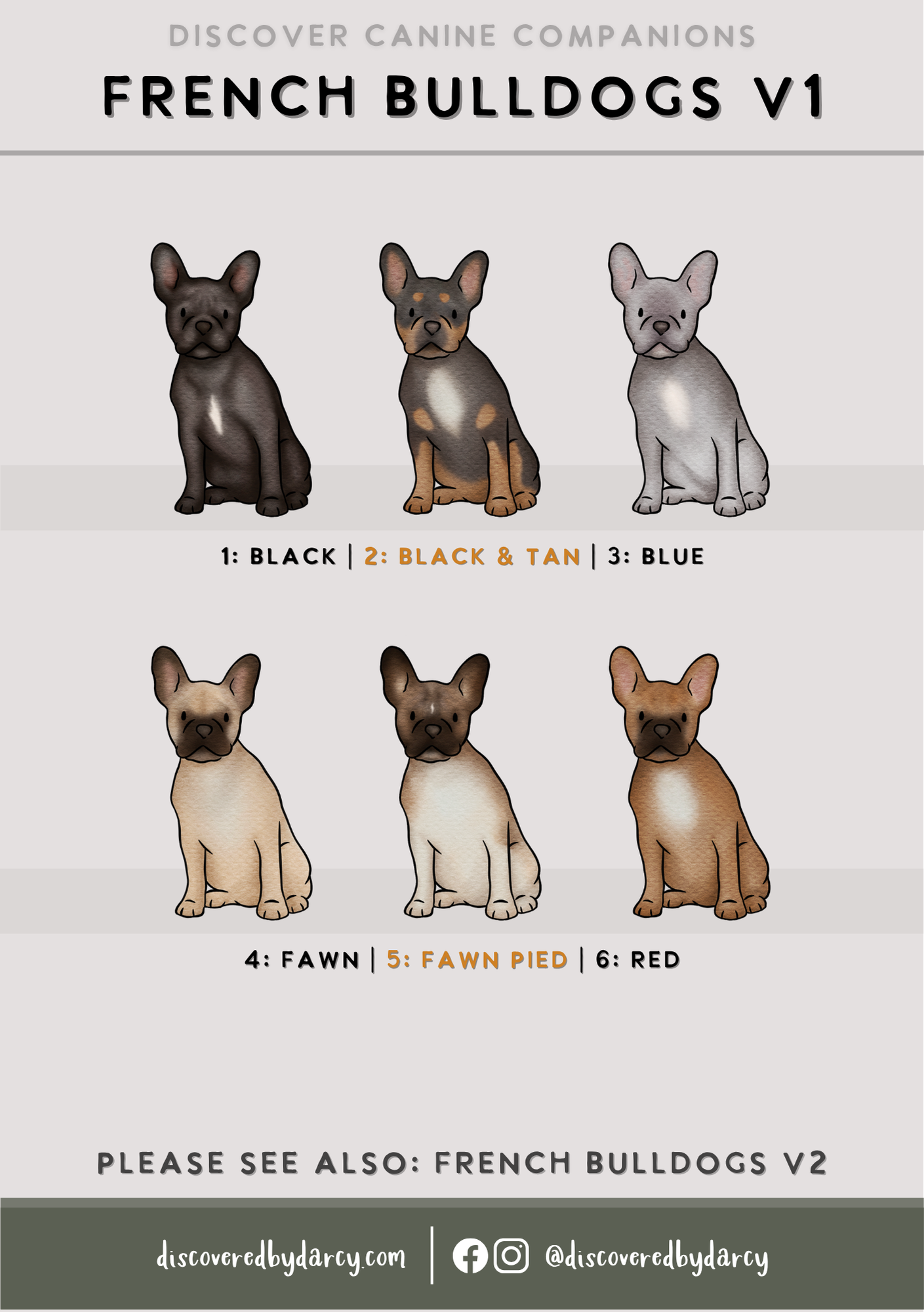 French Bulldogs - Build-Your-Own