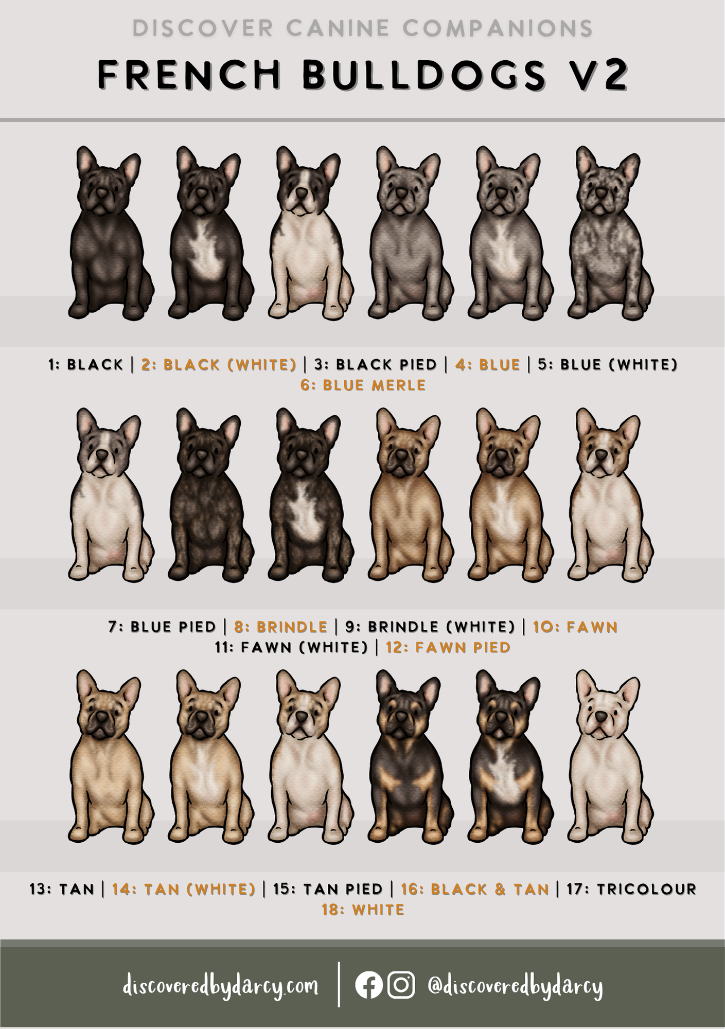 French Bulldogs - Build-Your-Own