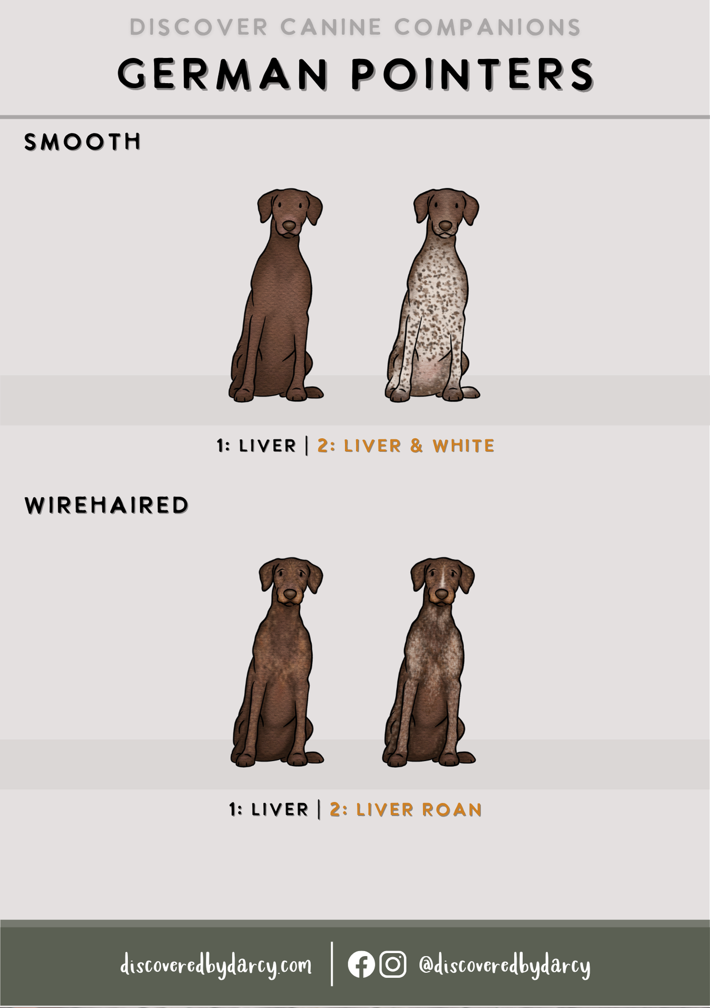German Pointers - Build-Your-Own