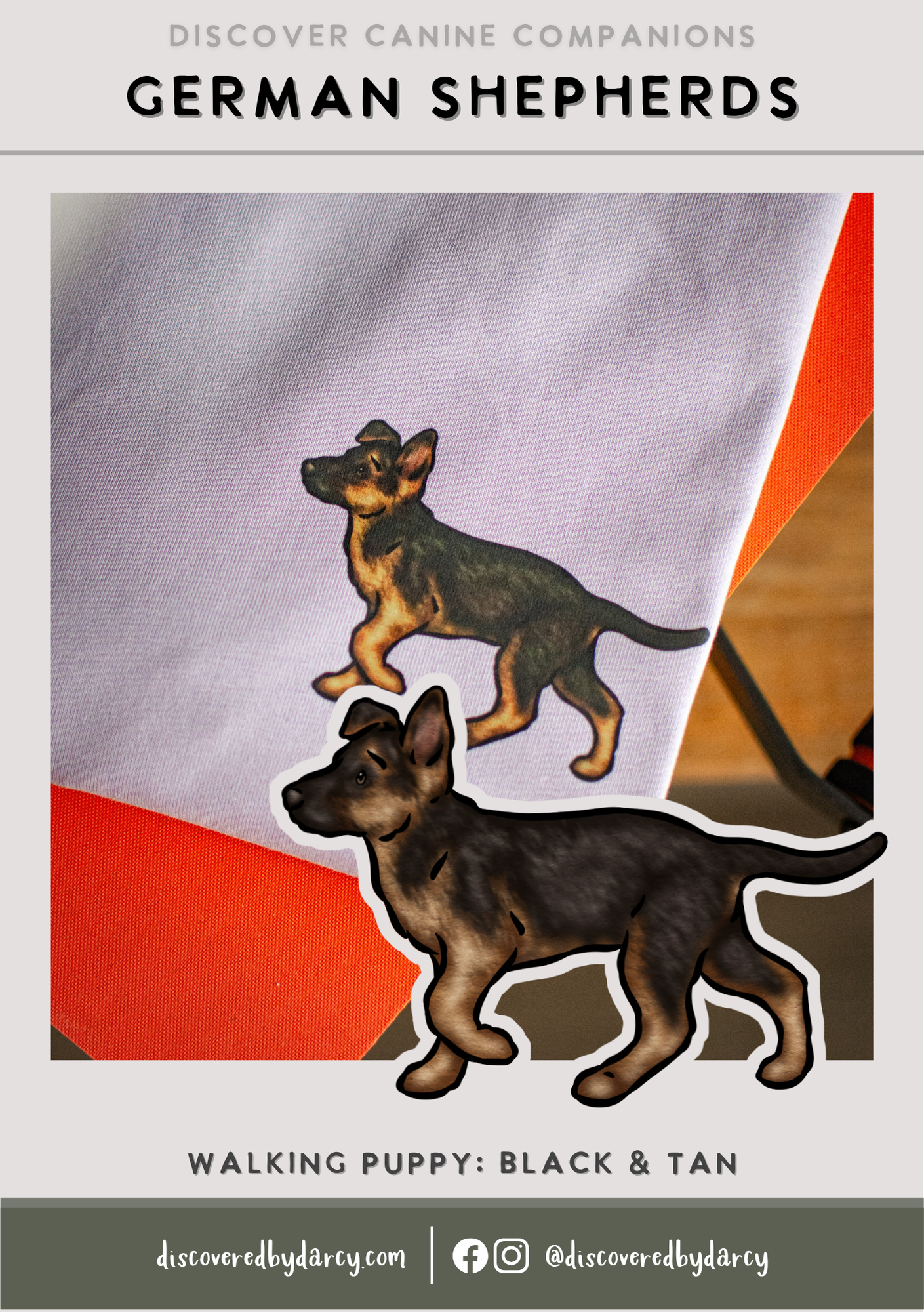 German Shepherds - Build-Your-Own