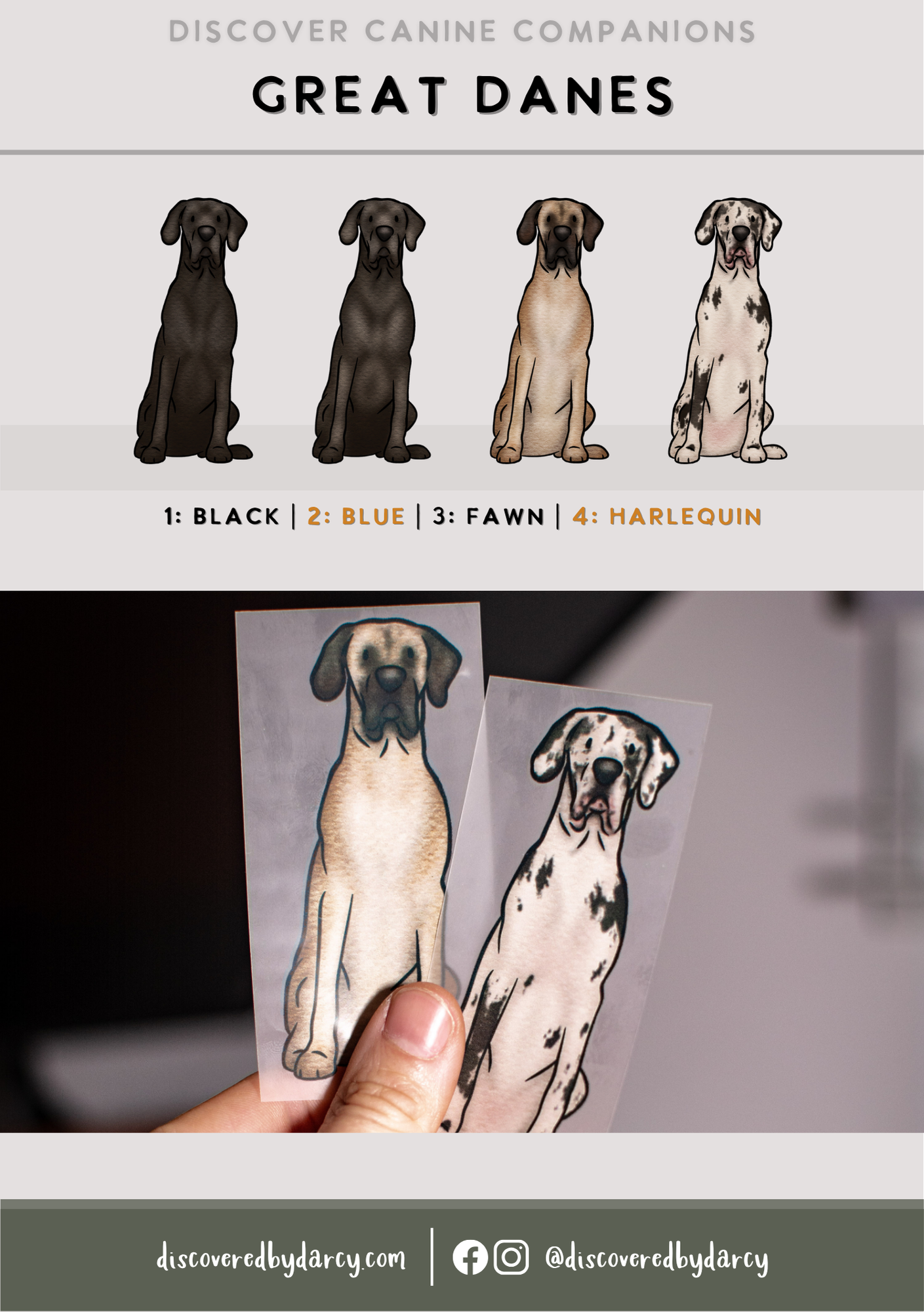 Great Danes - Build-Your-Own