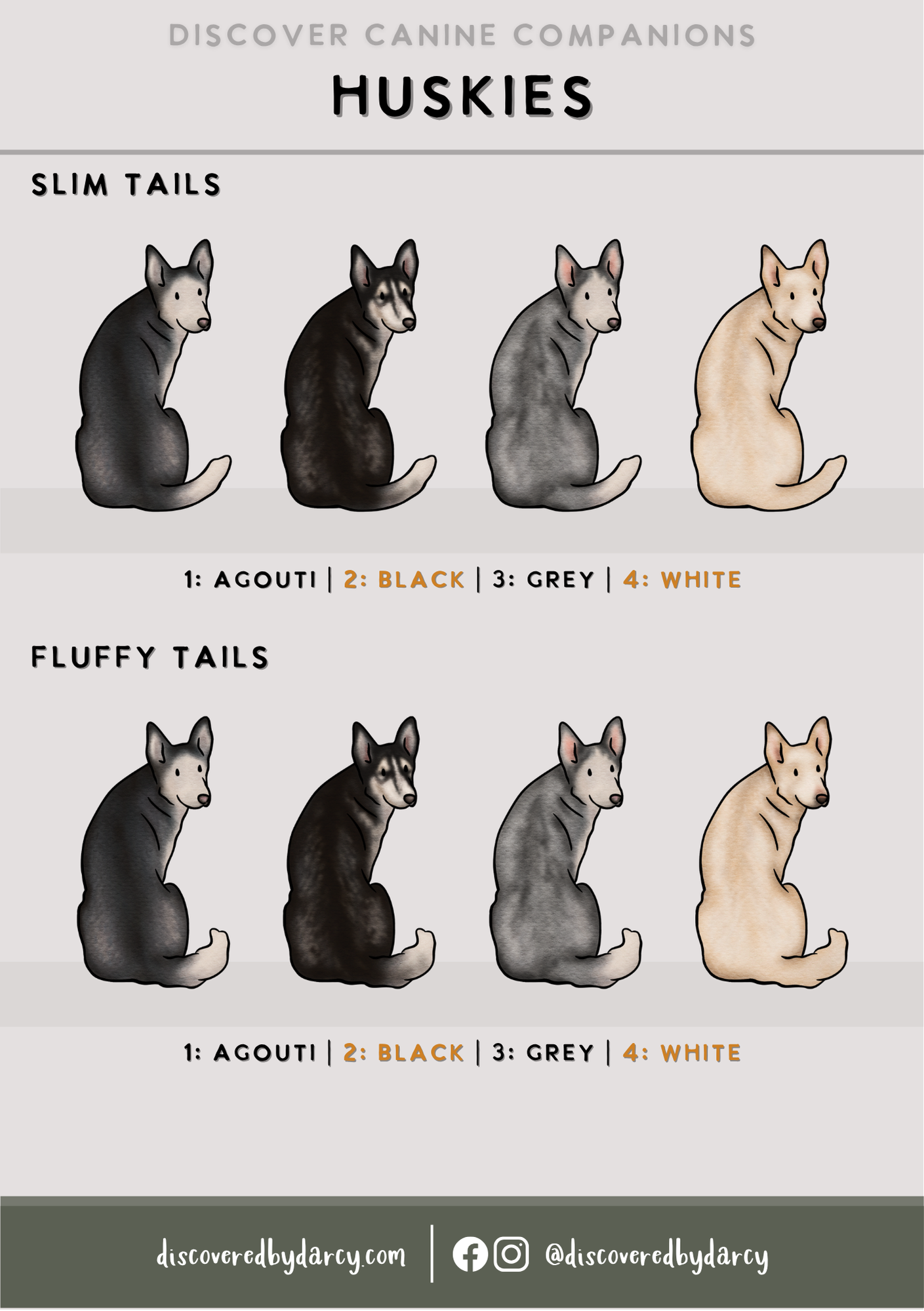 Huskies - Build-Your-Own