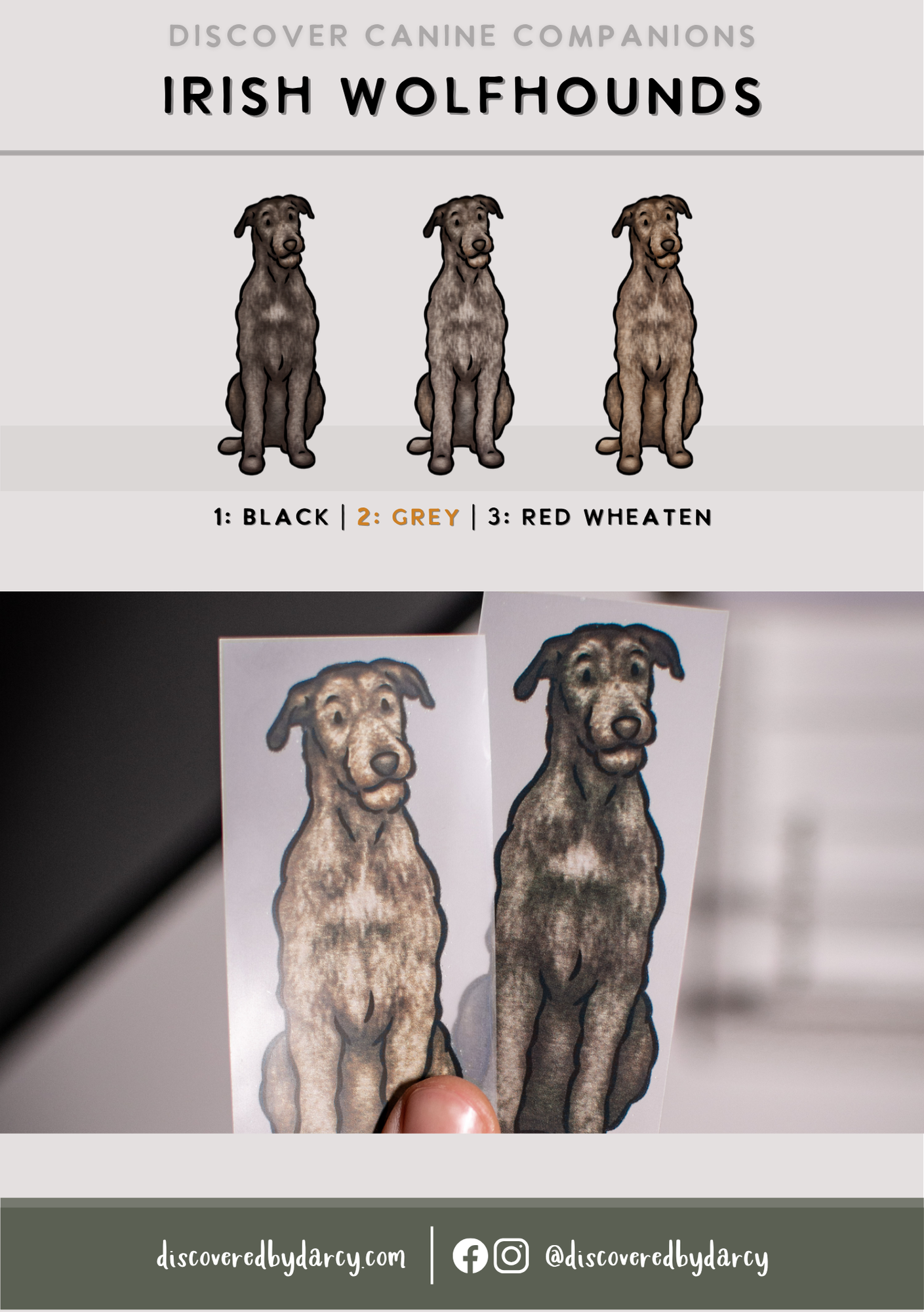 Irish Wolfhounds - Build-Your-Own
