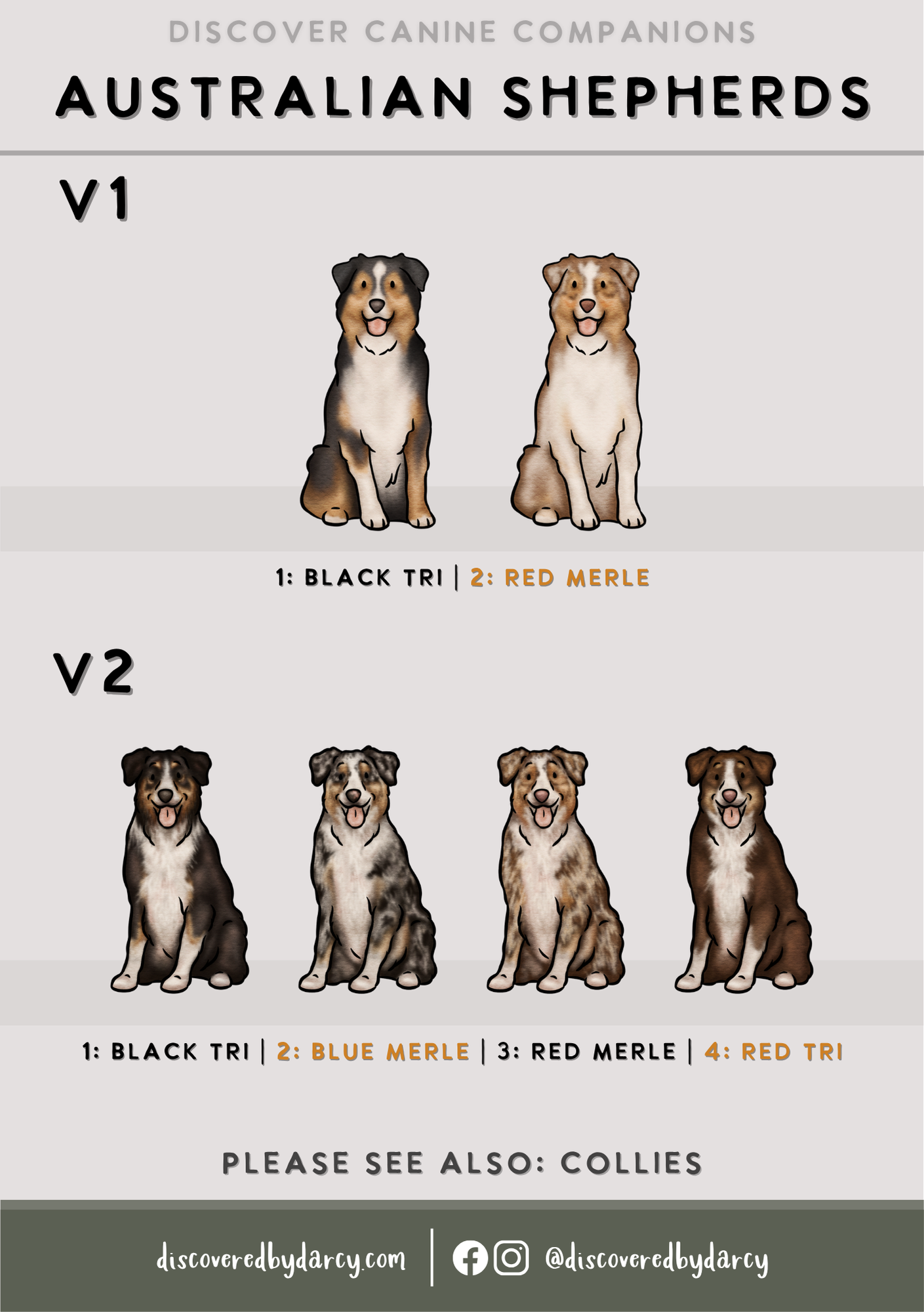 Australian Shepherds - Build-Your-Own